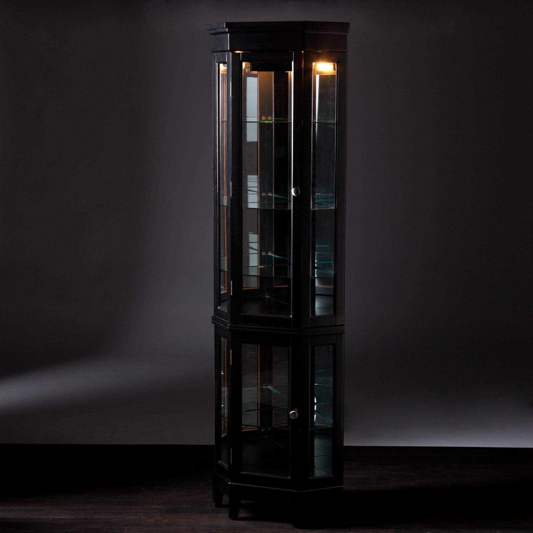 Elegant Black Lighted Curio Cabinet - Image 7
