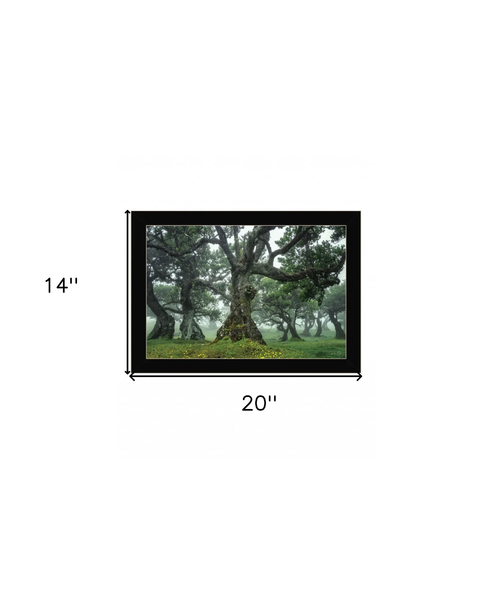 Enchanted Forest I 1 Black Framed Print Wall Art - Image 6