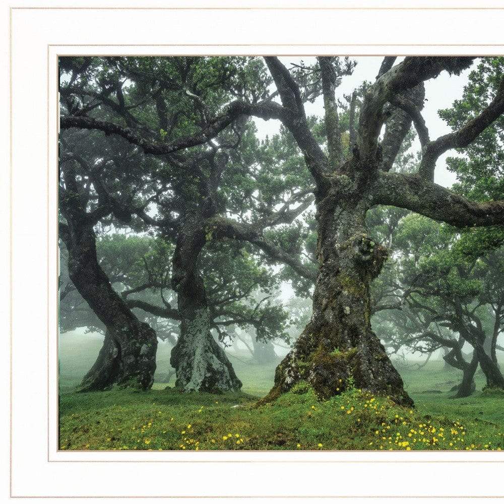 Enchanted Forest I 2 White Framed Print Wall Art - Image 5