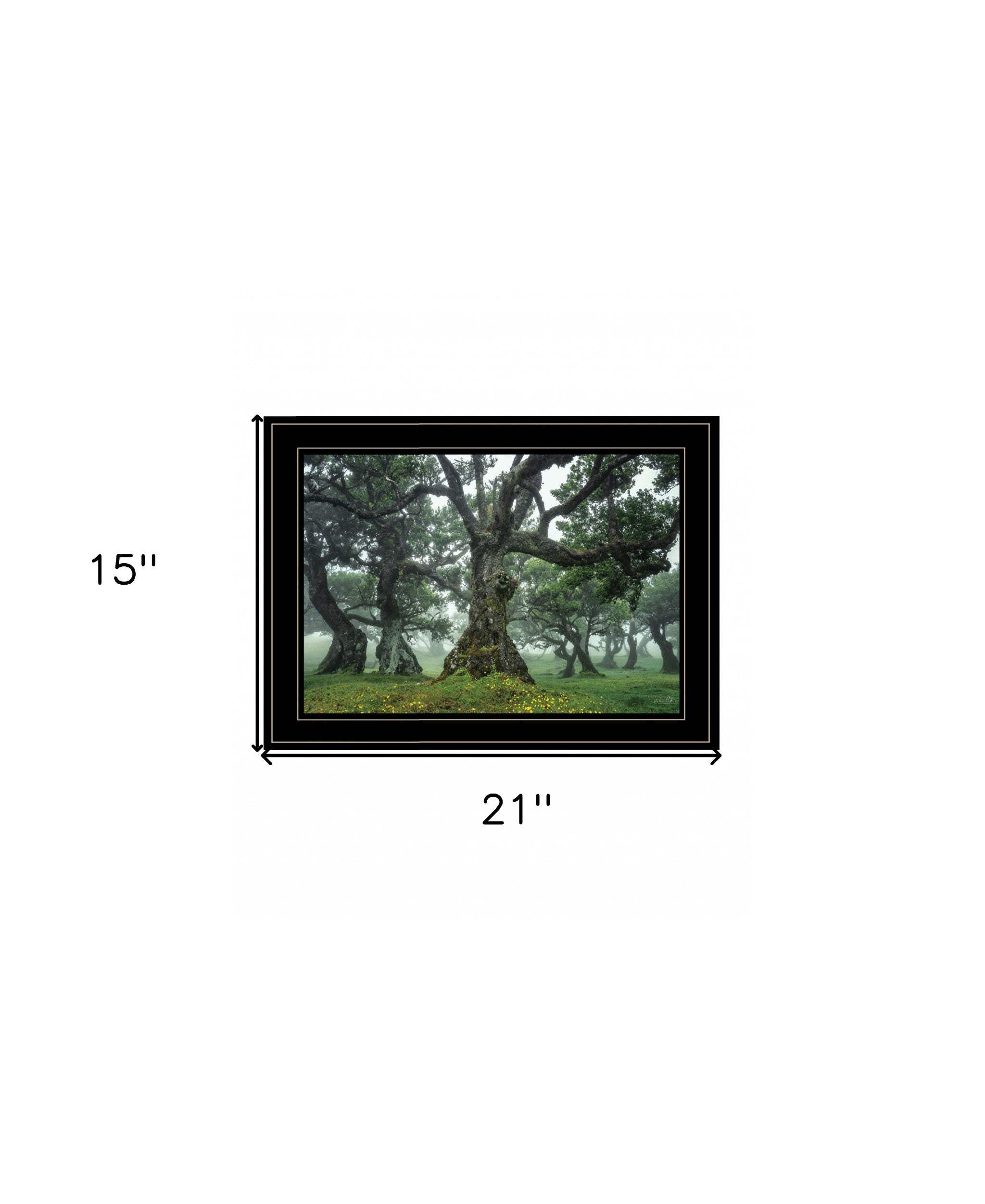 Enchanted Forest I 4 Black Framed Print Wall Art - Image 6