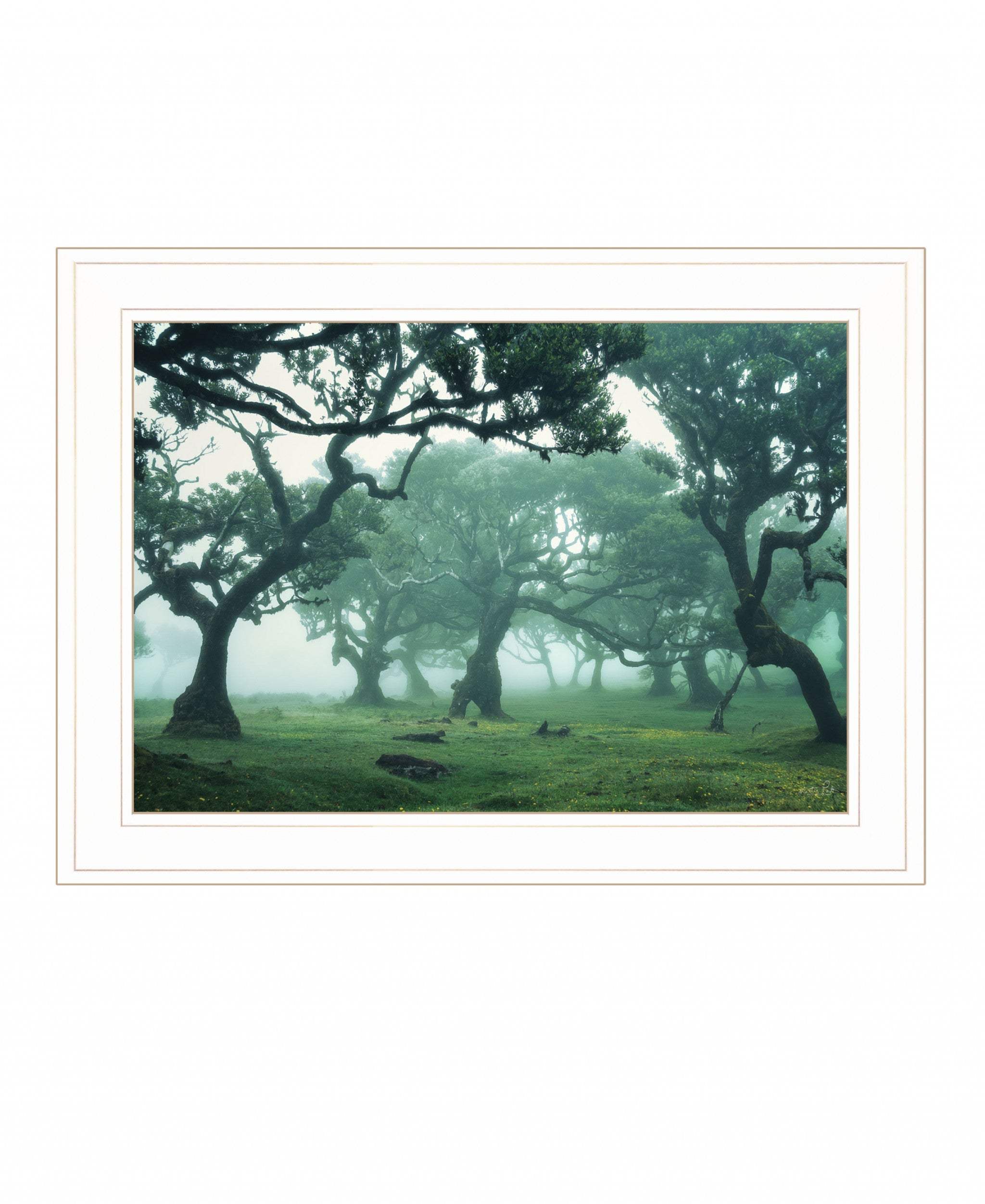 Enchanted Forest II 2 White Framed Print Wall Art - Image 2