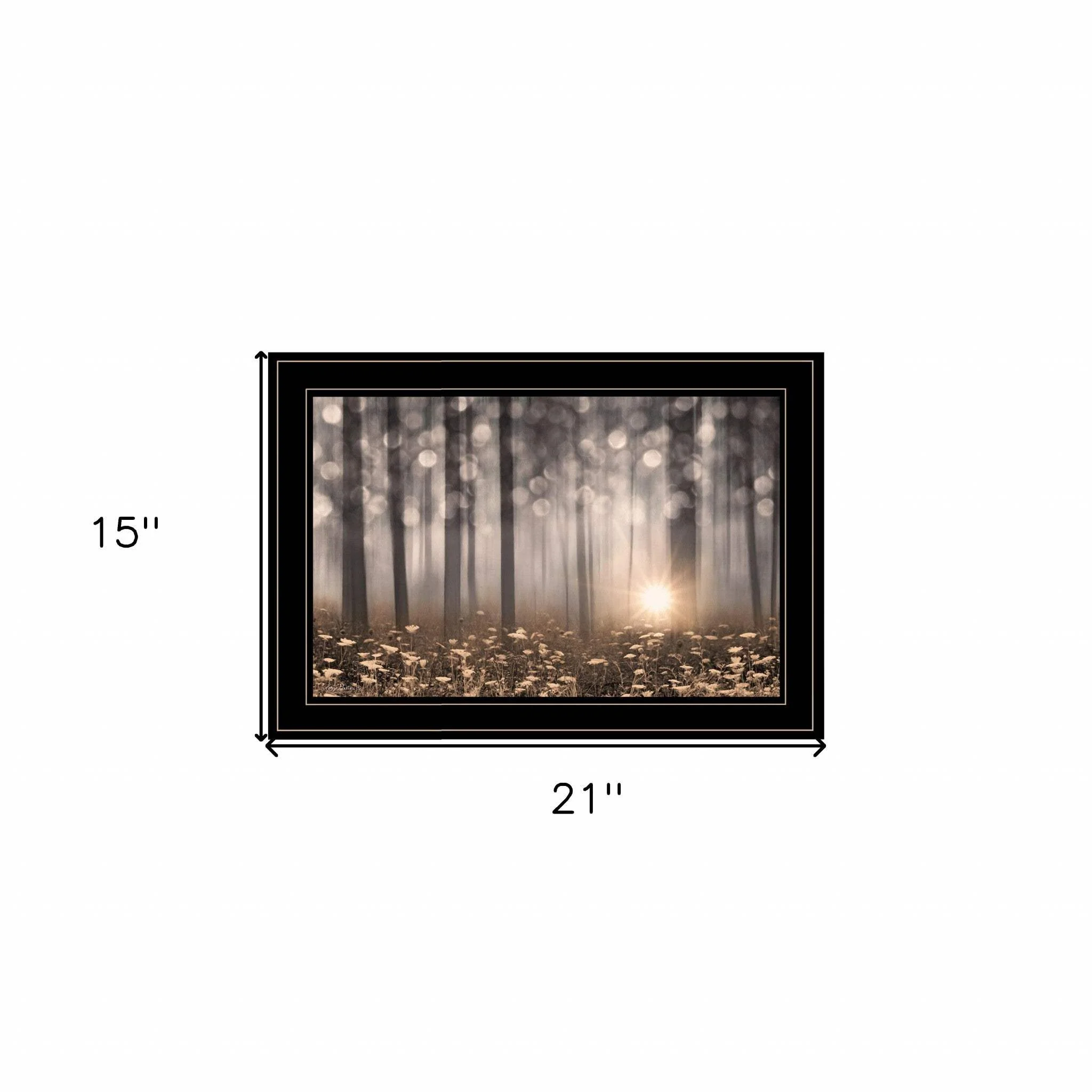 Enchanted Morning 2 Black Framed Print Wall Art - Image 5