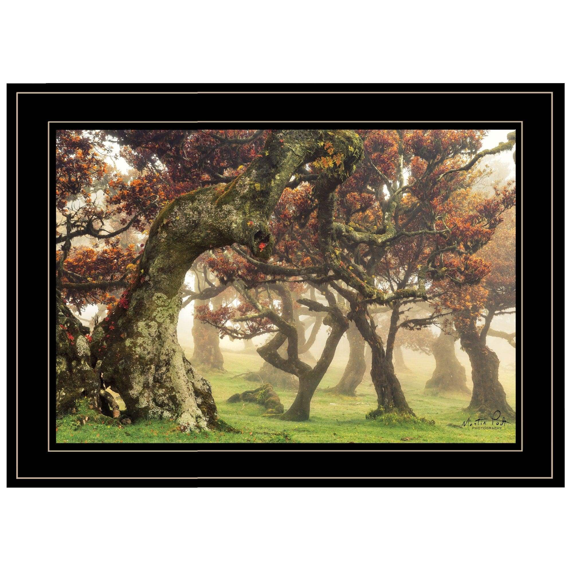 Fanal Martin Podt Ready to Hang Framed Print Black Frame Black Framed Print Wall Art - Image 2