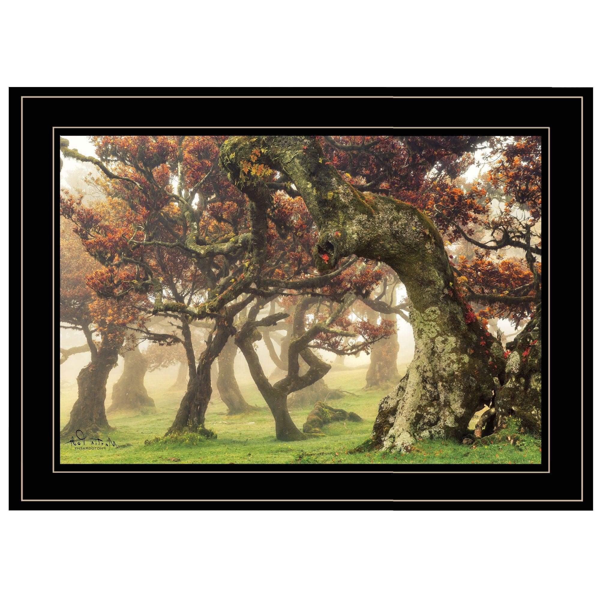 Fanal Martin Podt Ready to Hang Framed Print Black Frame Black Framed Print Wall Art - Image 3