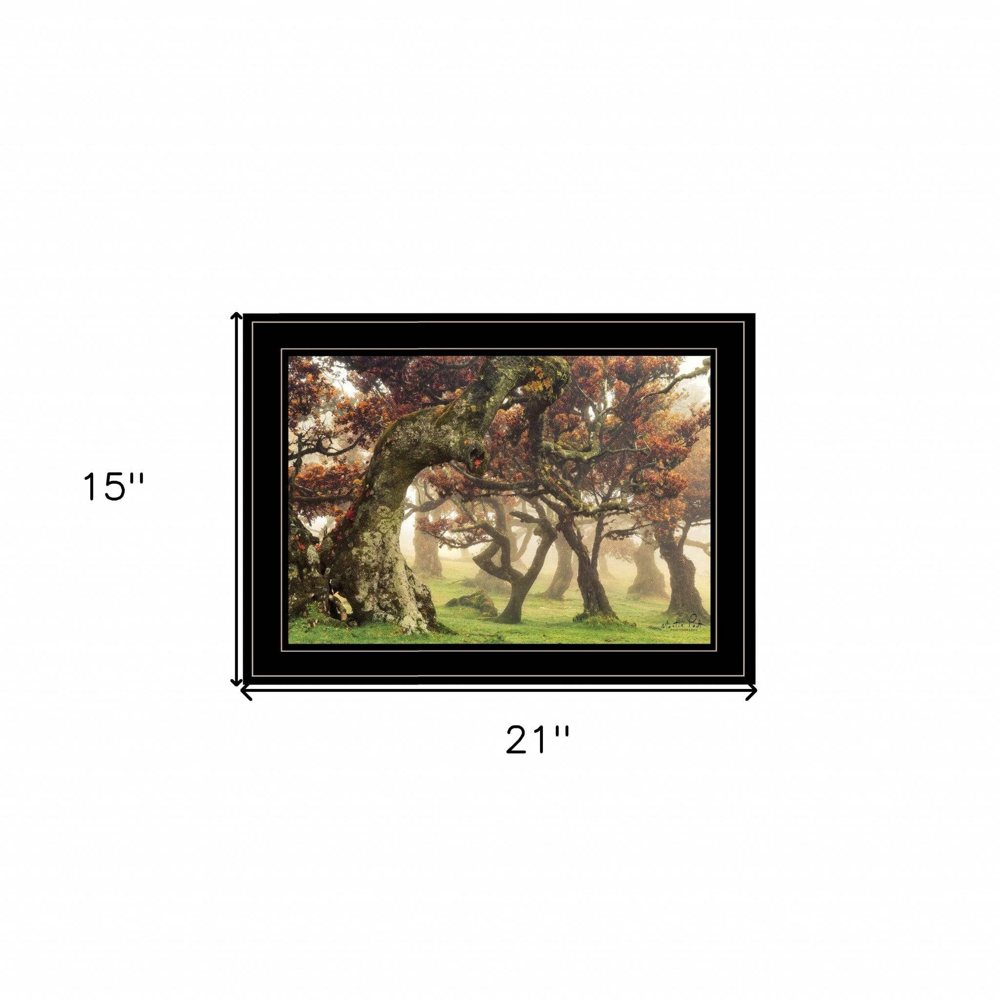 Fanal Martin Podt Ready to Hang Framed Print Black Frame Black Framed Print Wall Art - Image 6