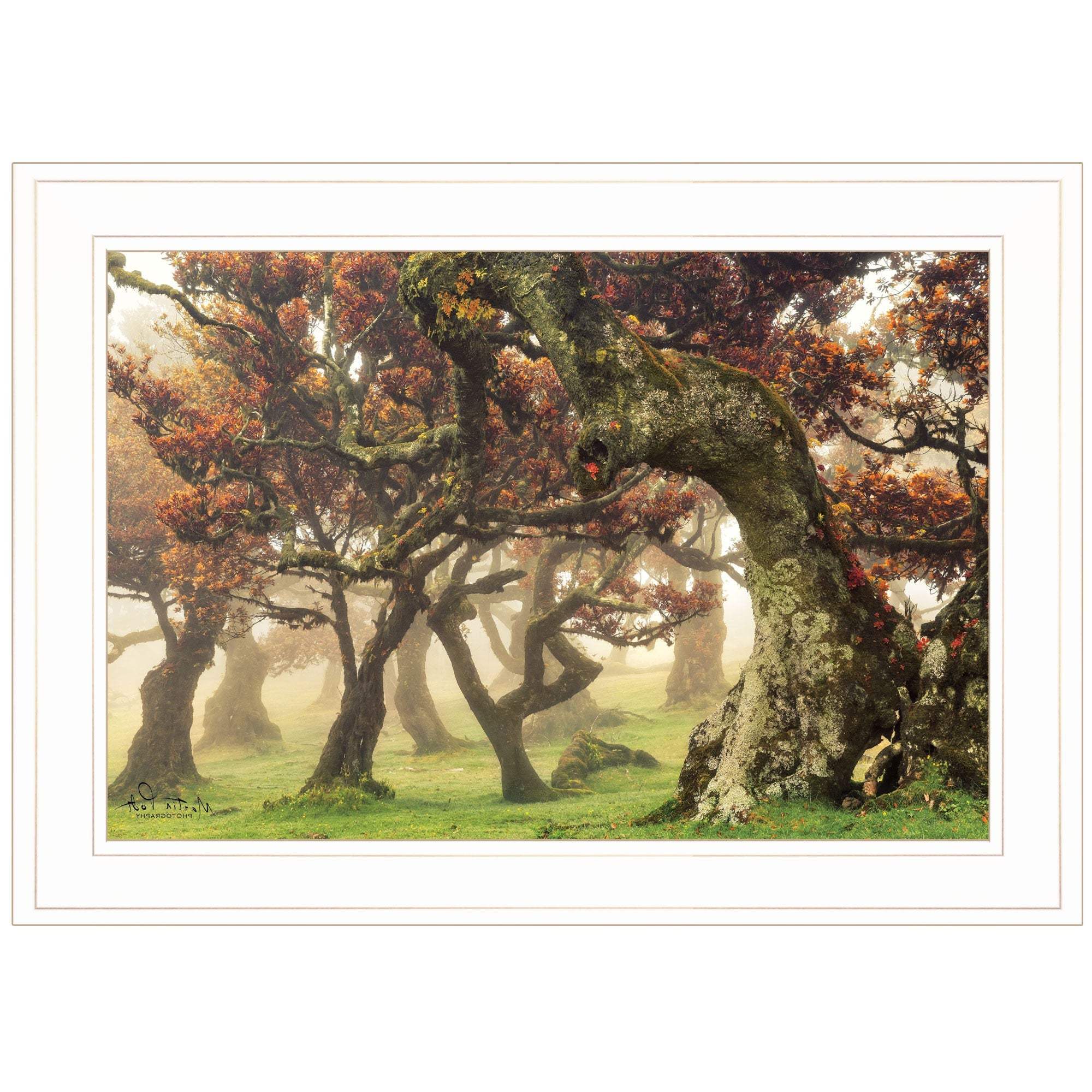 Fanal White Framed Print Wall Art - Image 3