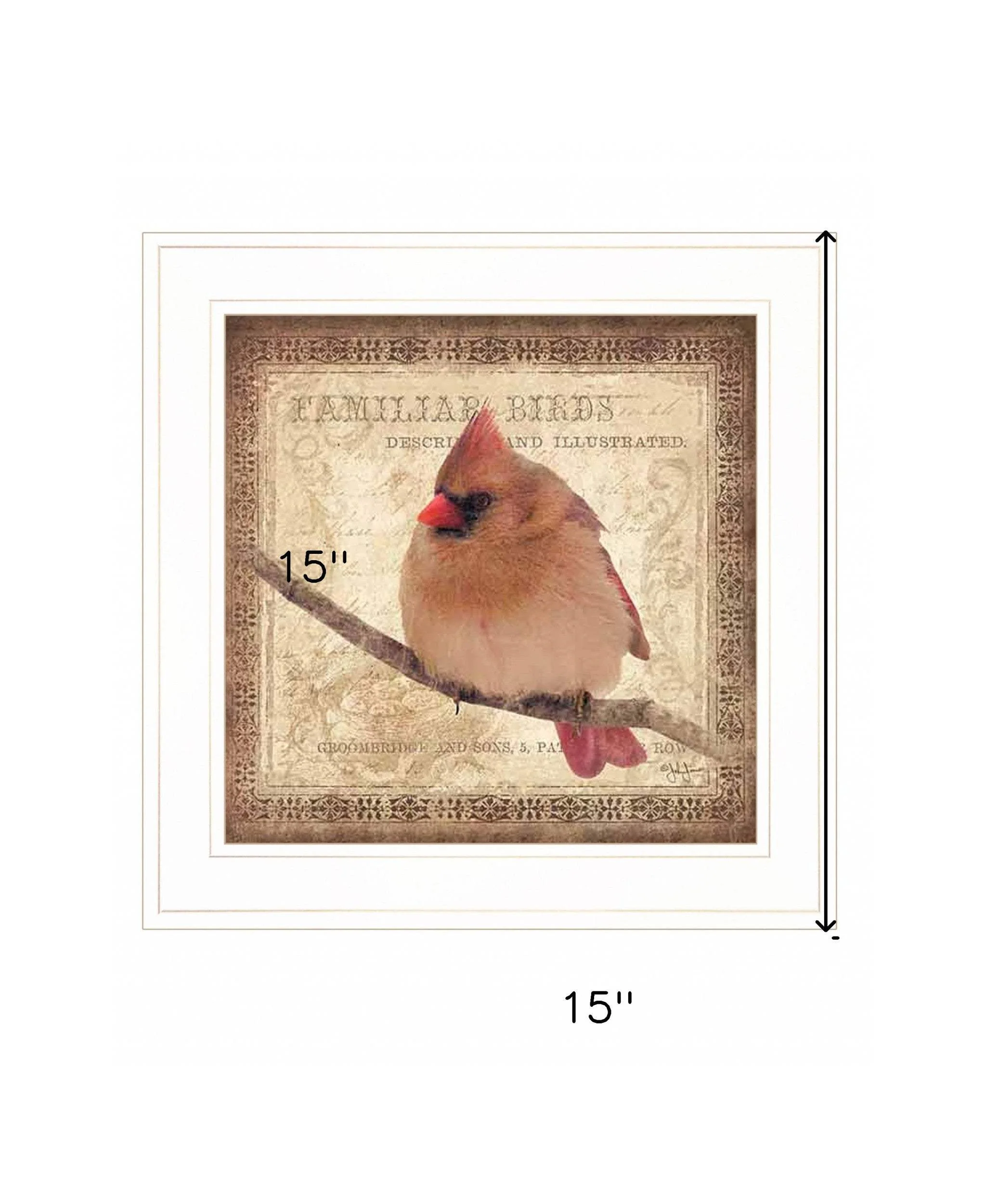 Female Cardinal 1 White Framed Print Wall Art - Image 5