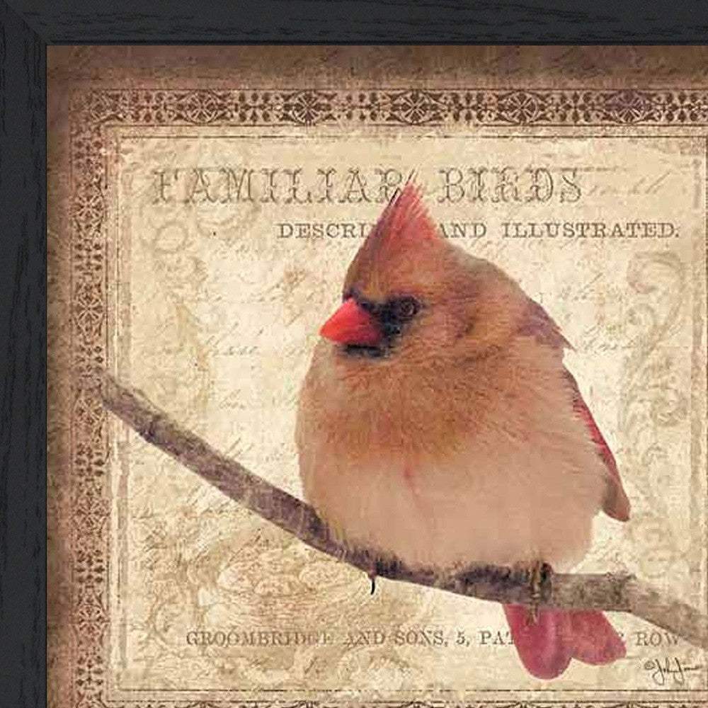 Female Cardinal 2 Black Framed Print Wall Art - Image 3