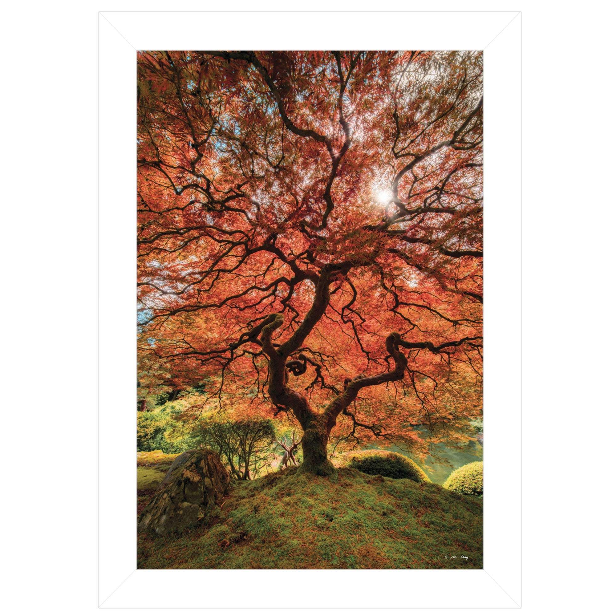 First Colors of Fall II 1 White Framed Print Wall Art - Image 2
