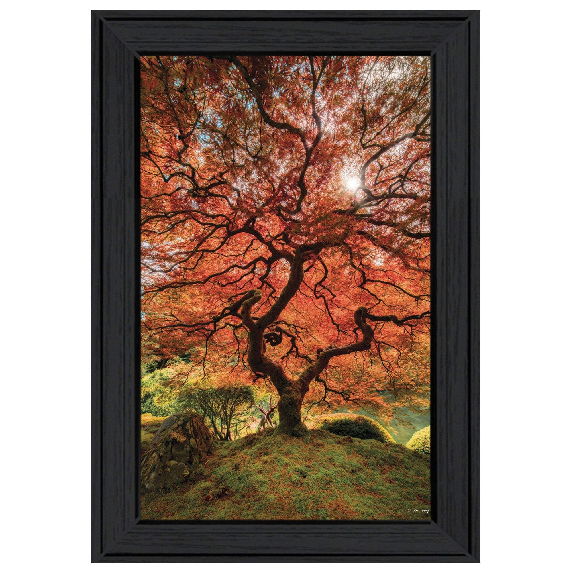 First Colors of Fall II 2 Black Framed Print Wall Art - Image 2