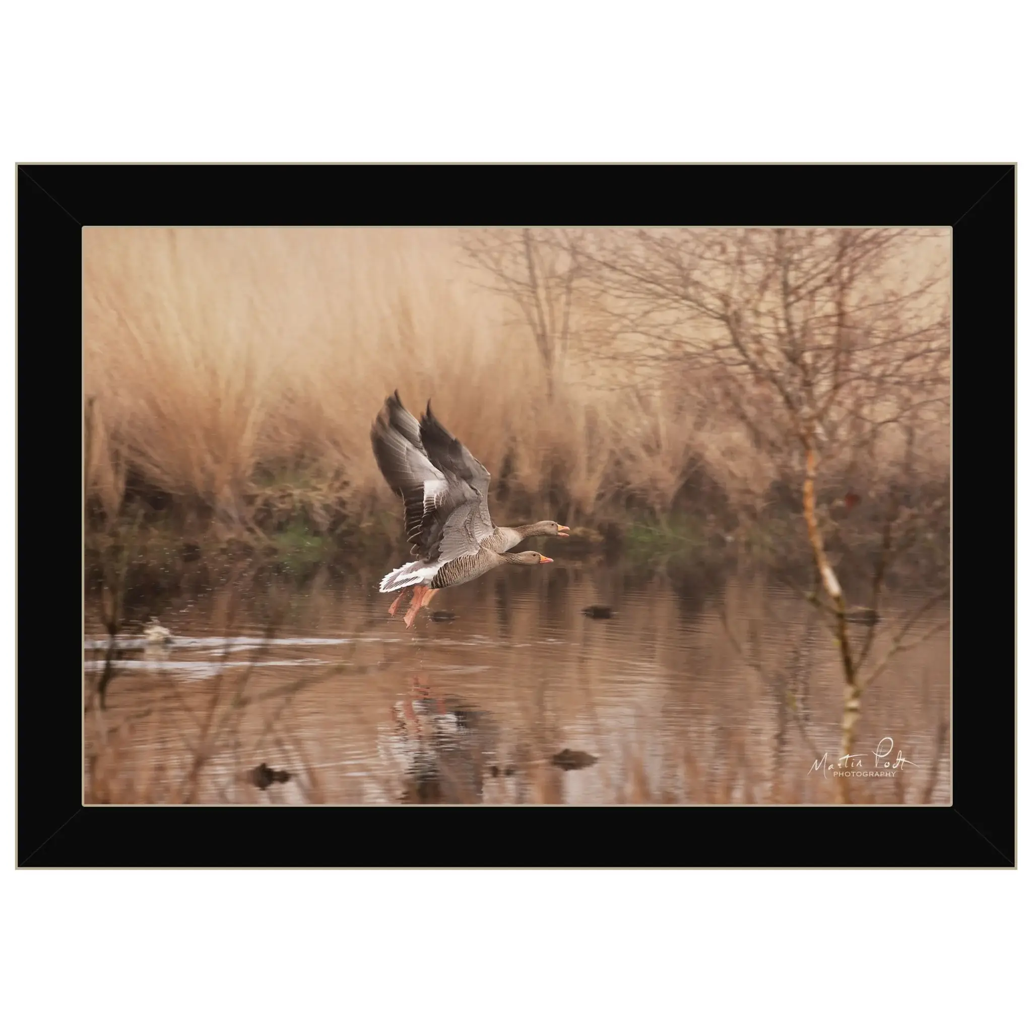 Fly Away 3 Black Framed Print Wall Art - Image 2