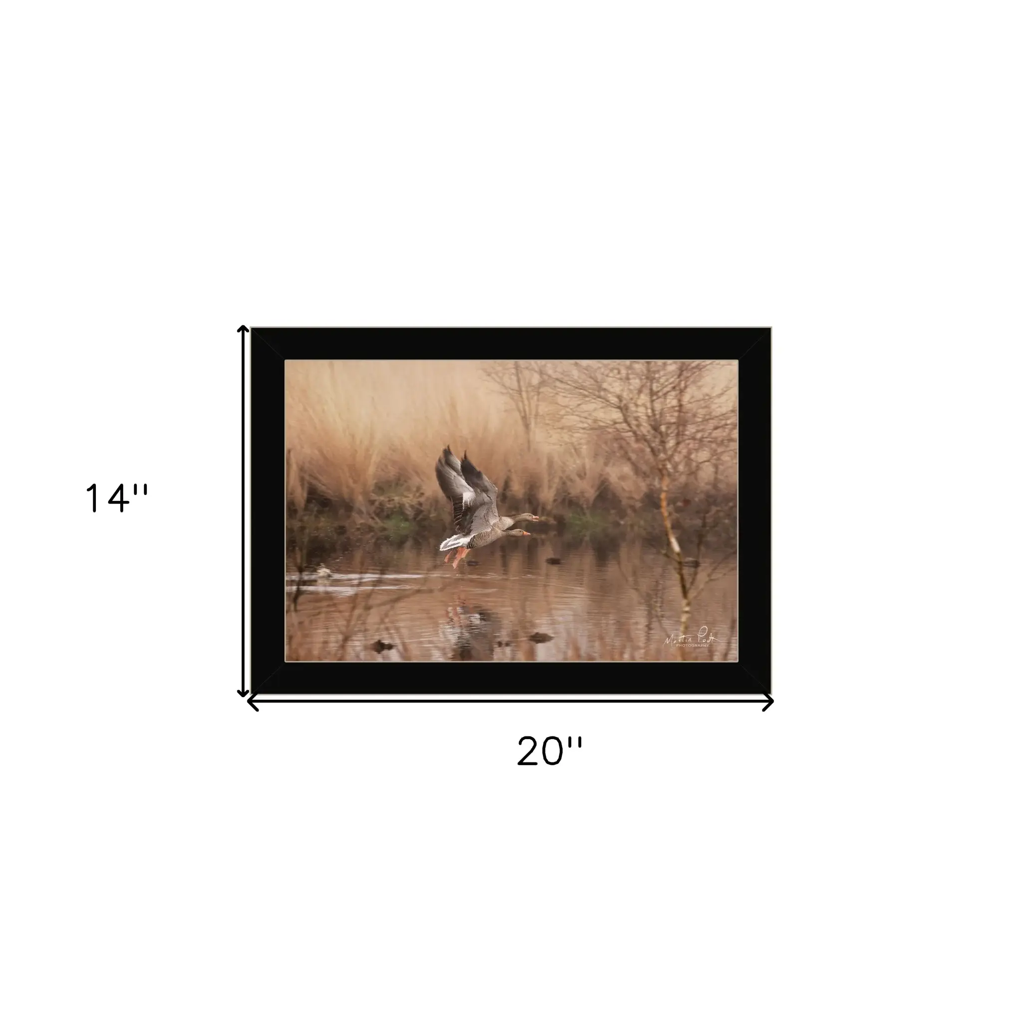 Fly Away 3 Black Framed Print Wall Art - Image 6