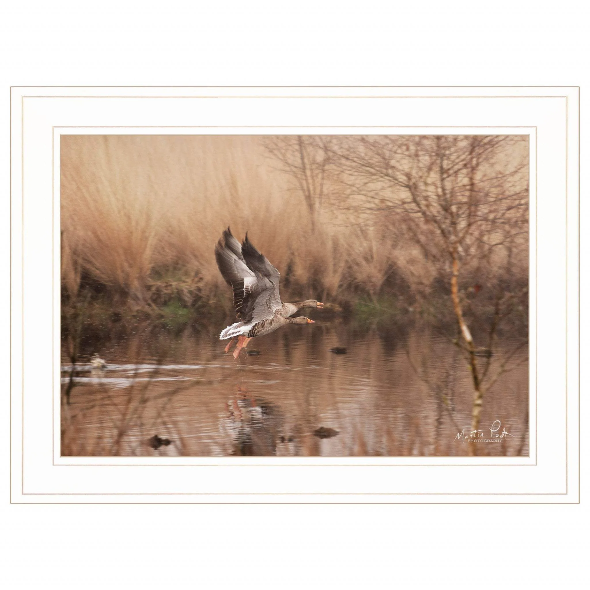 Fly Away 4 White Framed Print Wall Art - Image 2