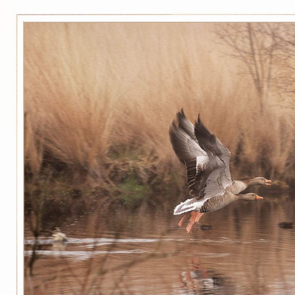 Fly Away 4 White Framed Print Wall Art - Image 3