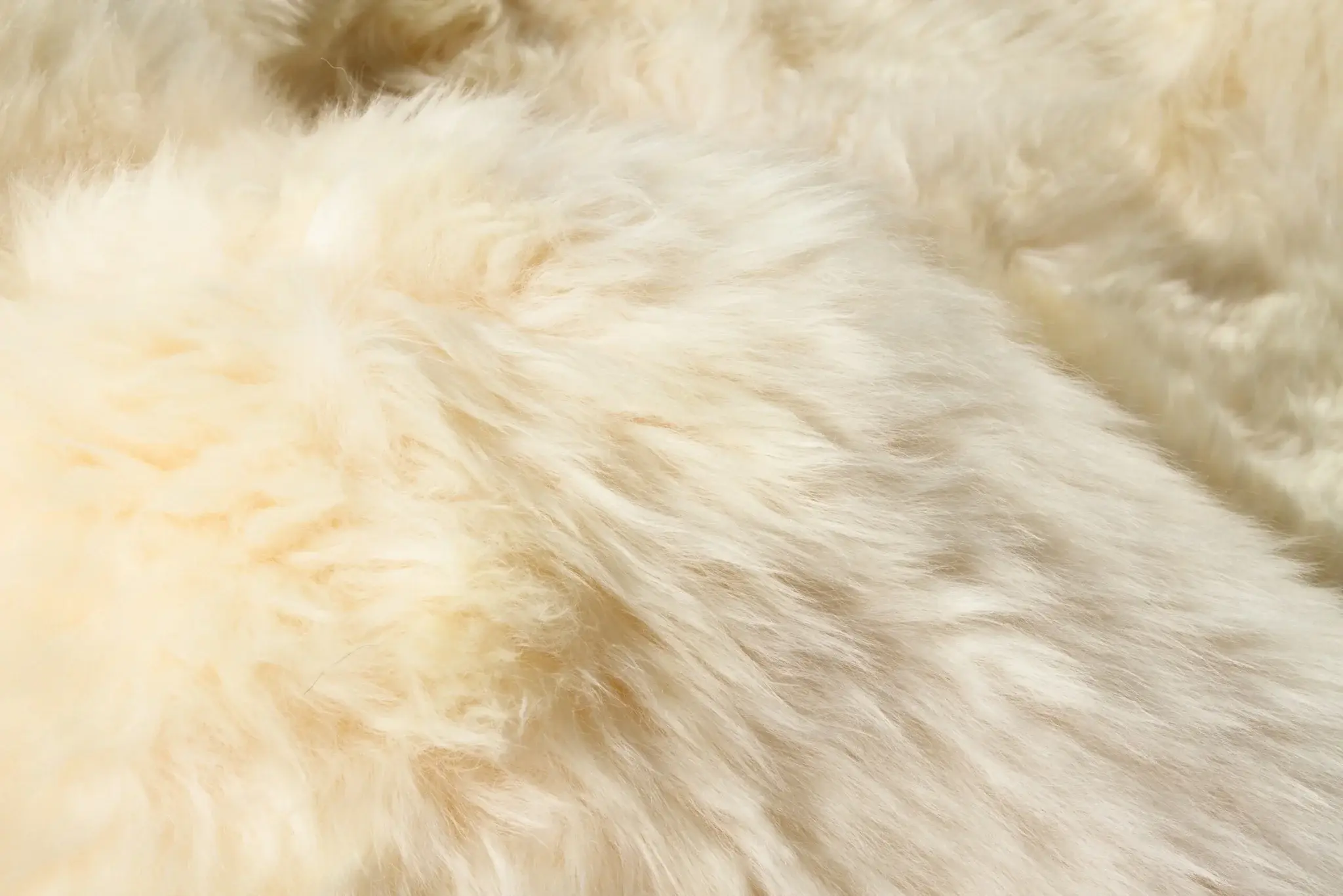 Gold Animal Print Area Rug - Image 6