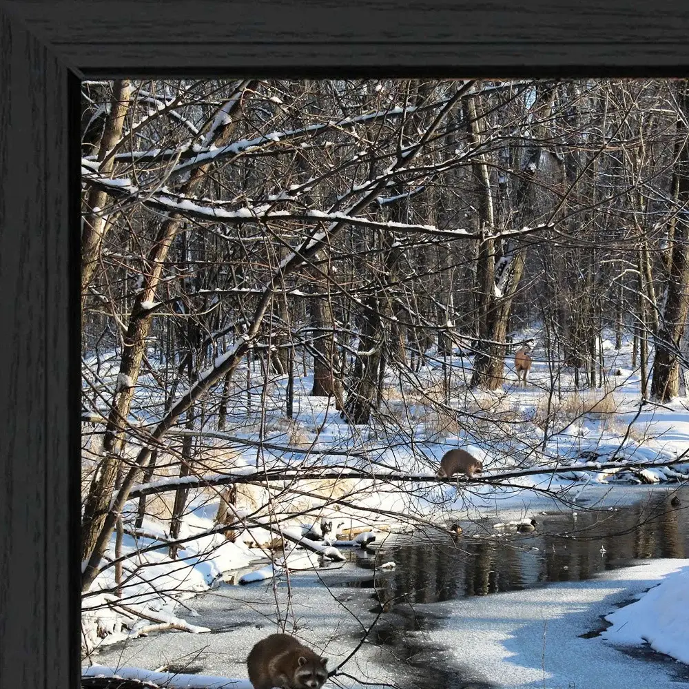 Great Outdoors Nature 1 Black Framed Print Wall Art - Image 3