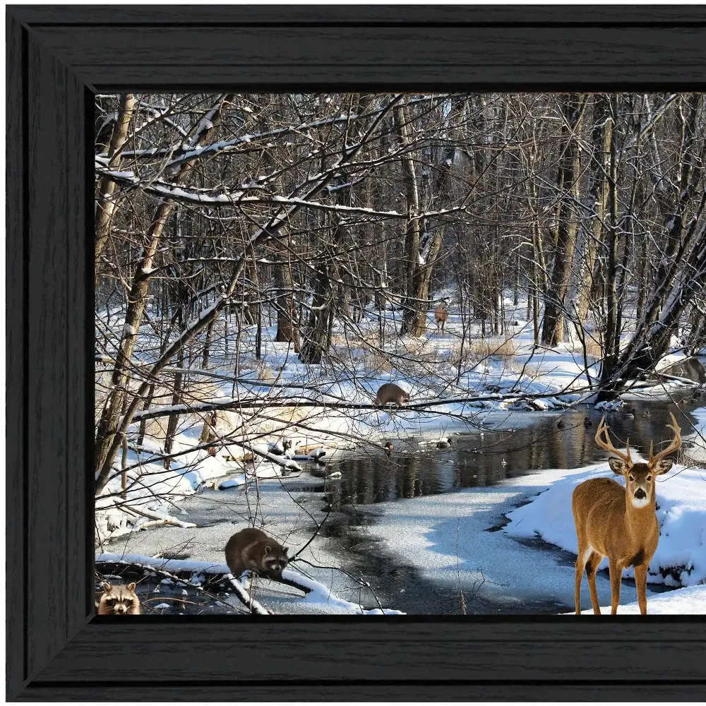 Great Outdoors Nature 1 Black Framed Print Wall Art - Image 4