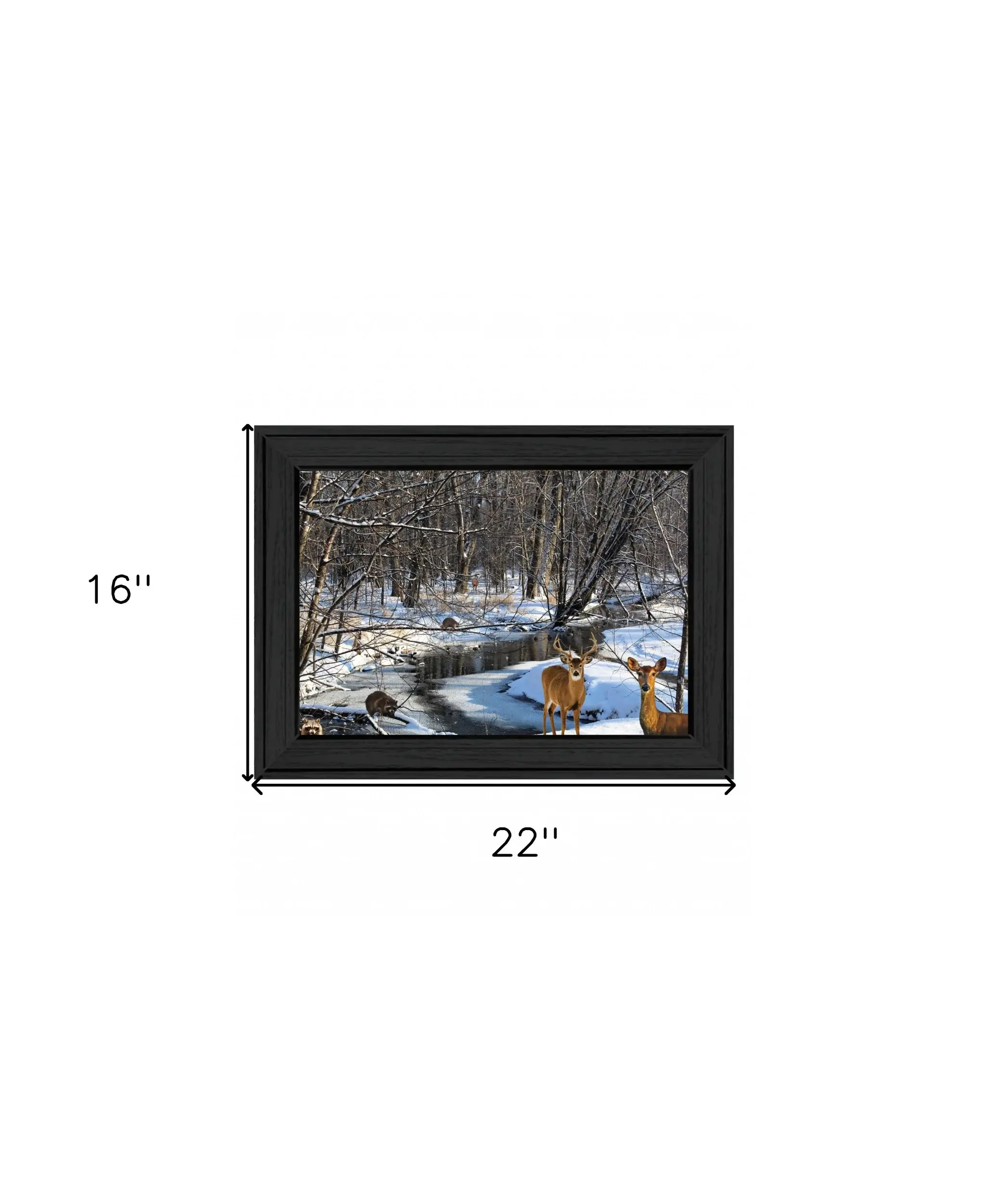 Great Outdoors Nature 1 Black Framed Print Wall Art - Image 6