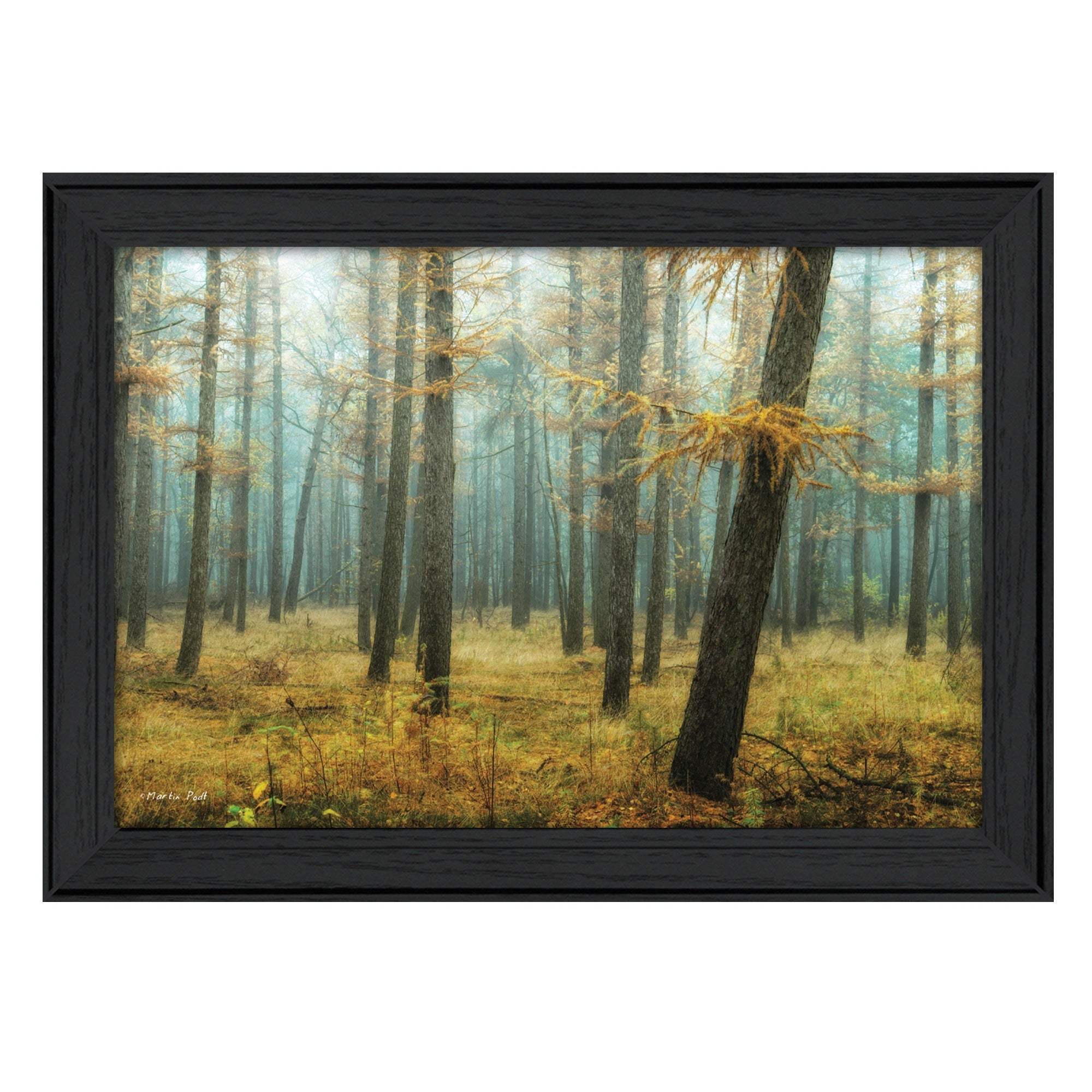 Holterberg in the Mist Black Framed Print Wall Art - Image 2