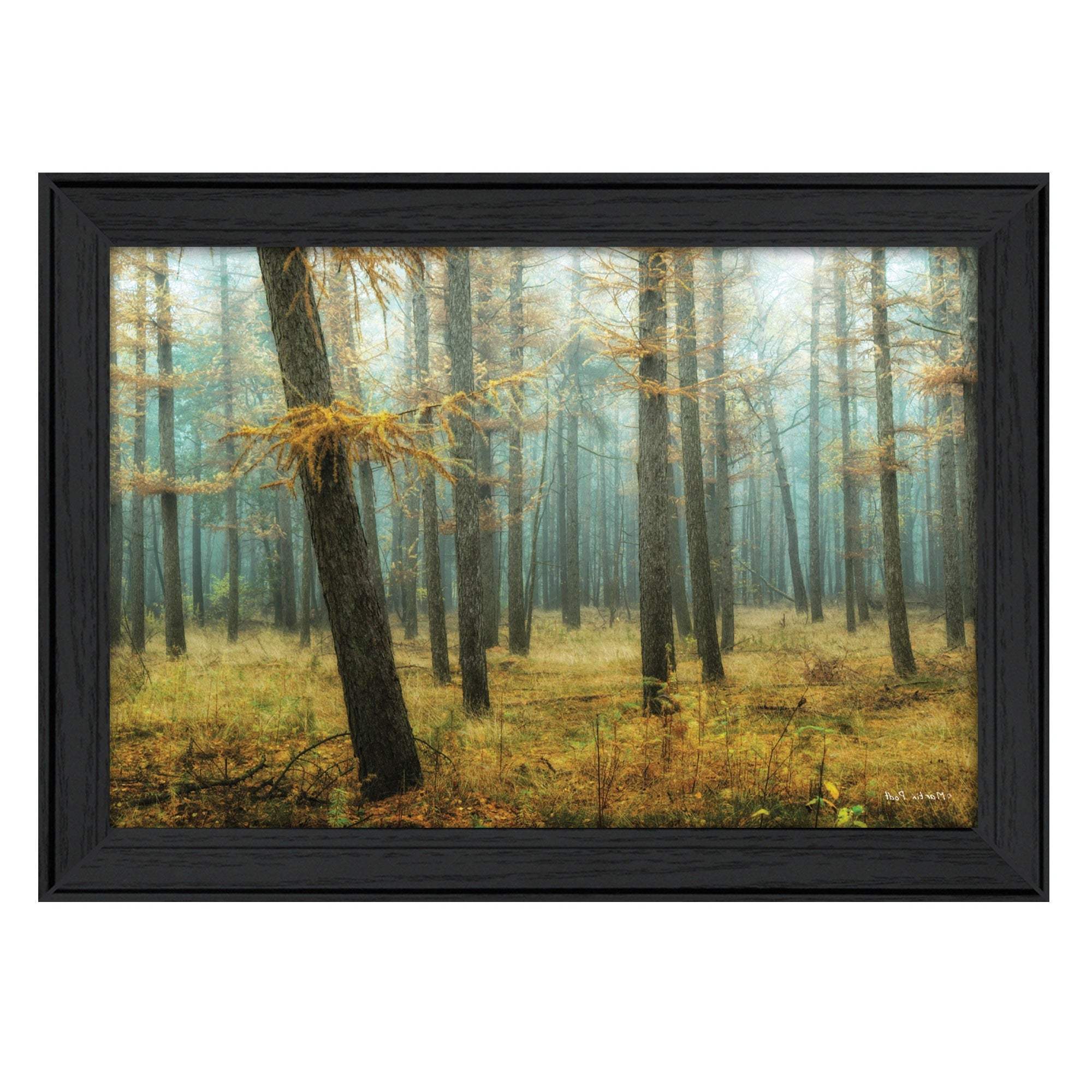 Holterberg in the Mist Black Framed Print Wall Art - Image 3