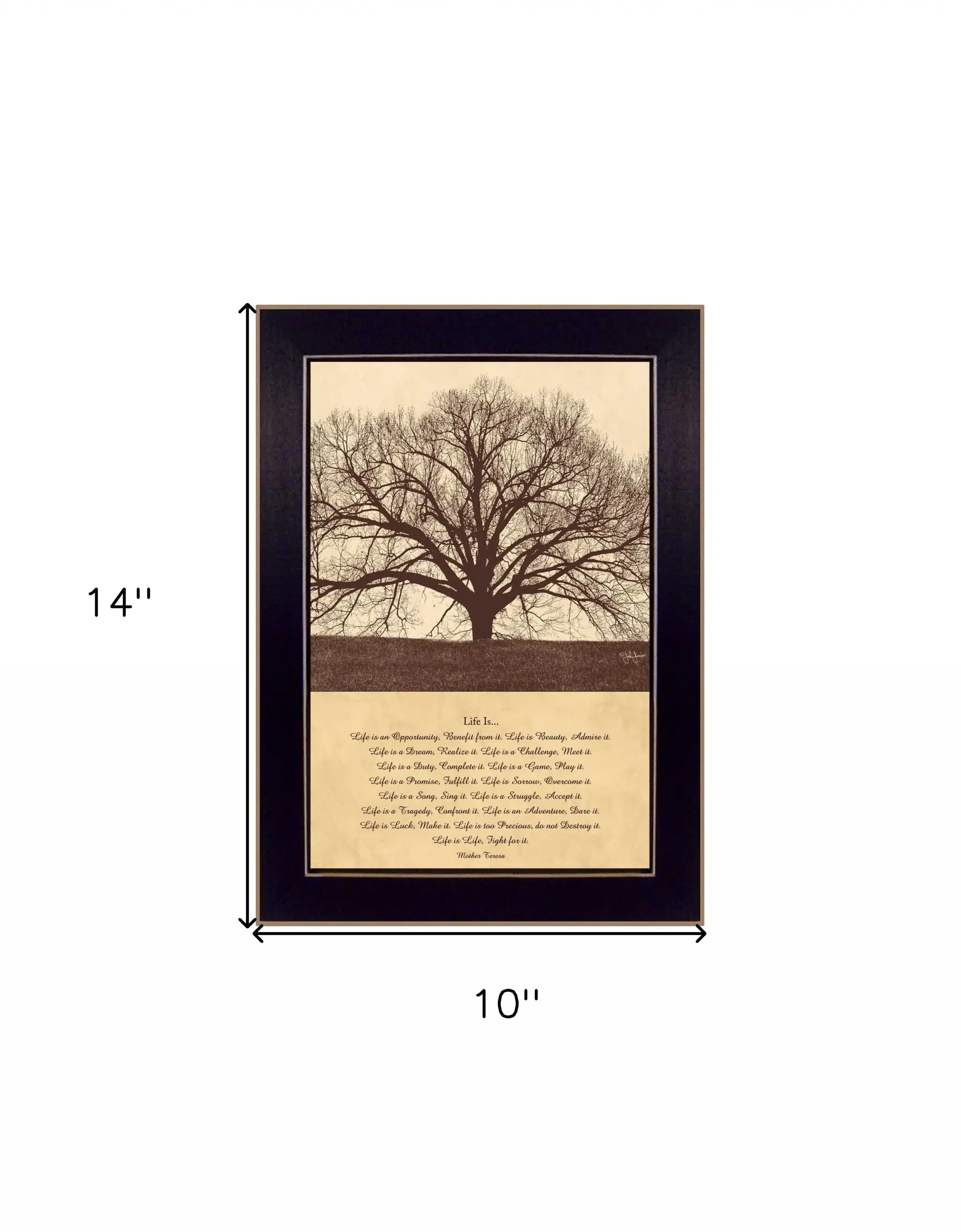 Life Is 1 Black Framed Print Wall Art - Image 5