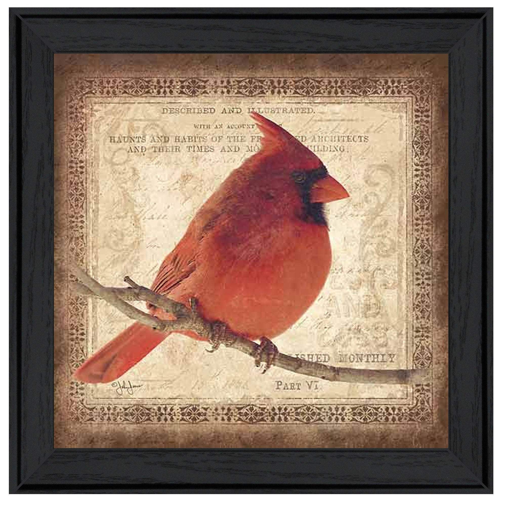 Male Cardinal 2 Black Framed Print Wall Art - Image 2