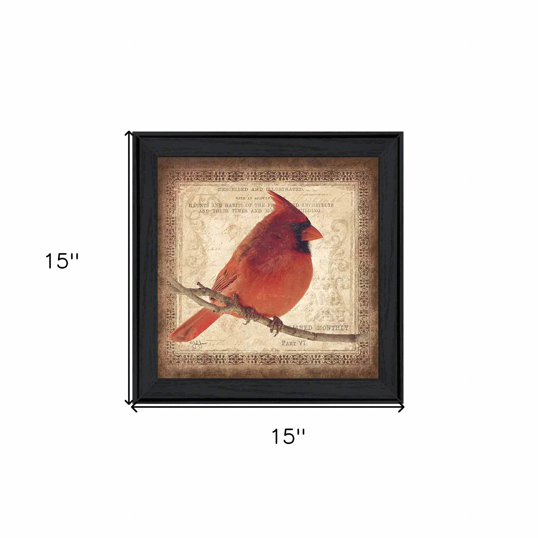 Male Cardinal 2 Black Framed Print Wall Art - Image 4