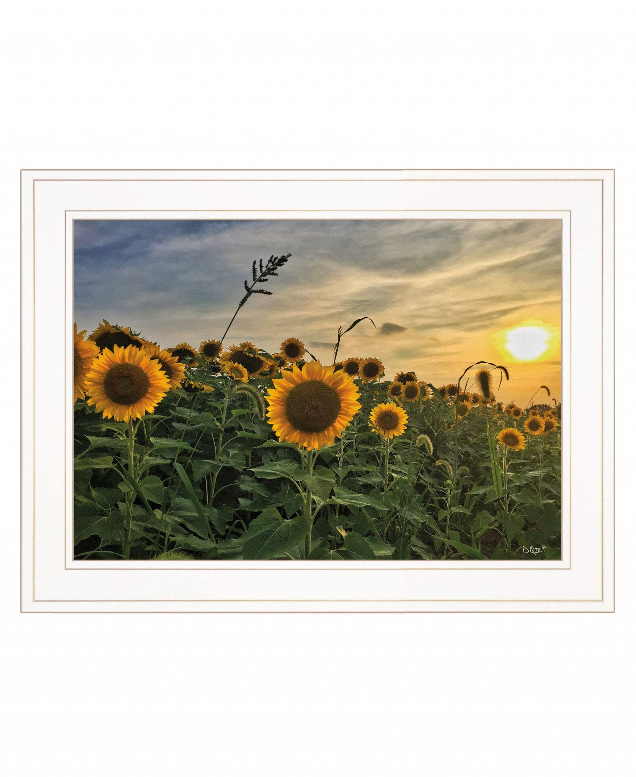 Midwest Livin I 1 White Framed Print Wall Art - Image 2