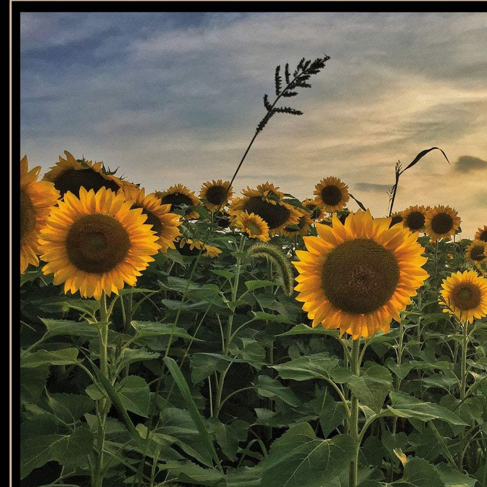 Midwest Livin I 3 Black Framed Print Wall Art - Image 4