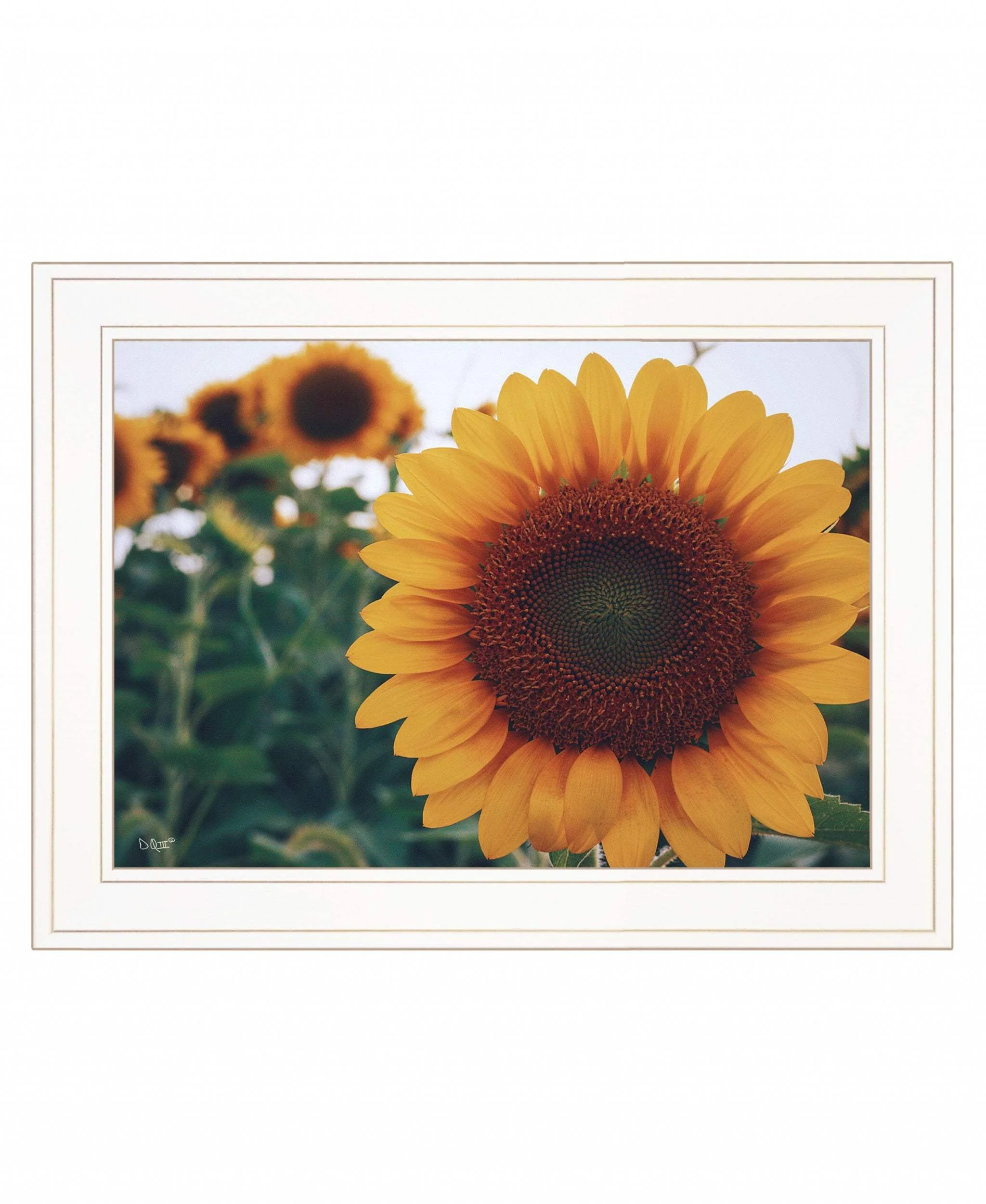 Midwest Livin II 2 White Framed Print Wall Art - Image 2