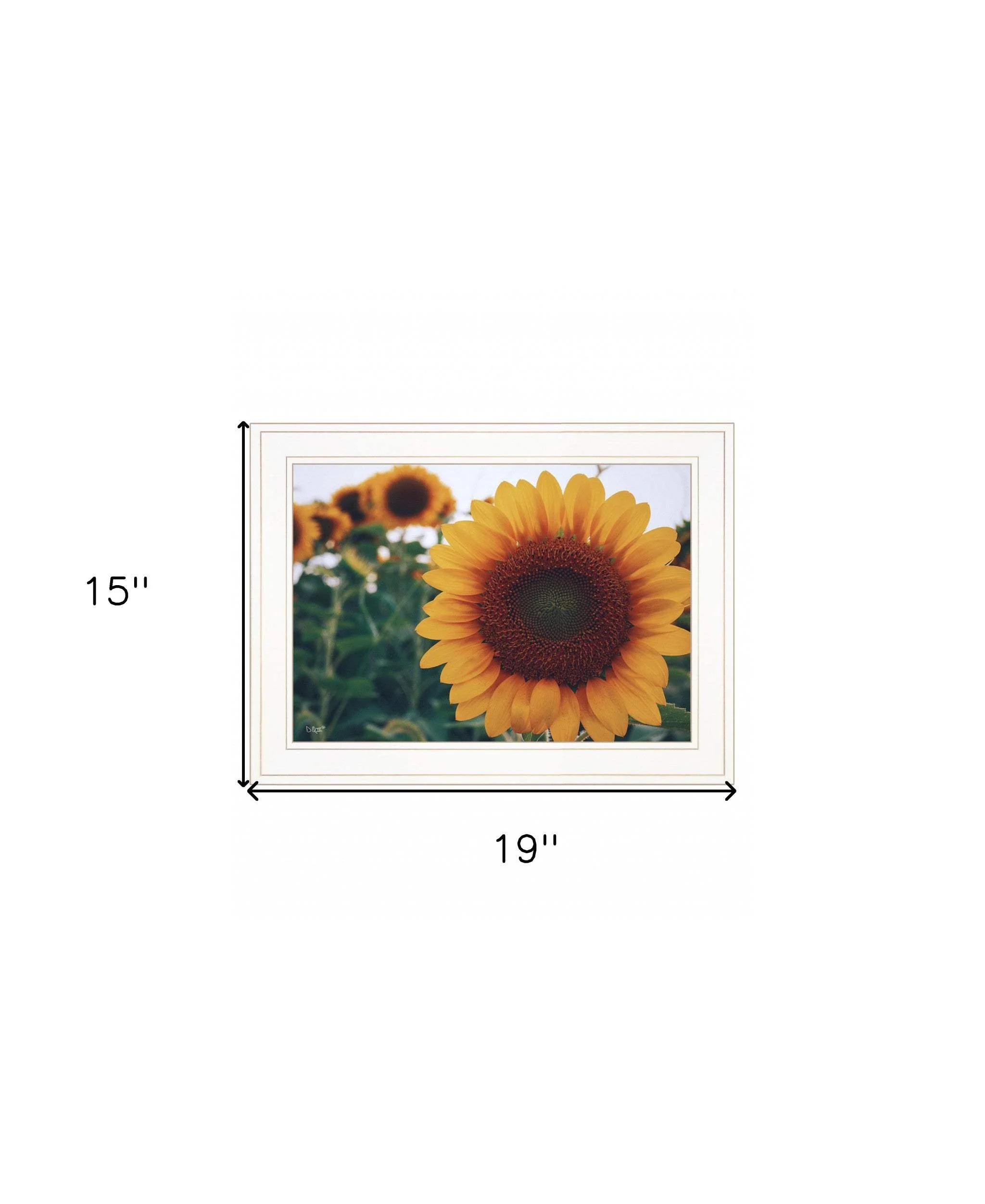 Midwest Livin II 2 White Framed Print Wall Art - Image 6