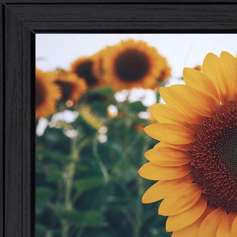 Midwest Livin II 3 Black Framed Print Wall Art - Image 4