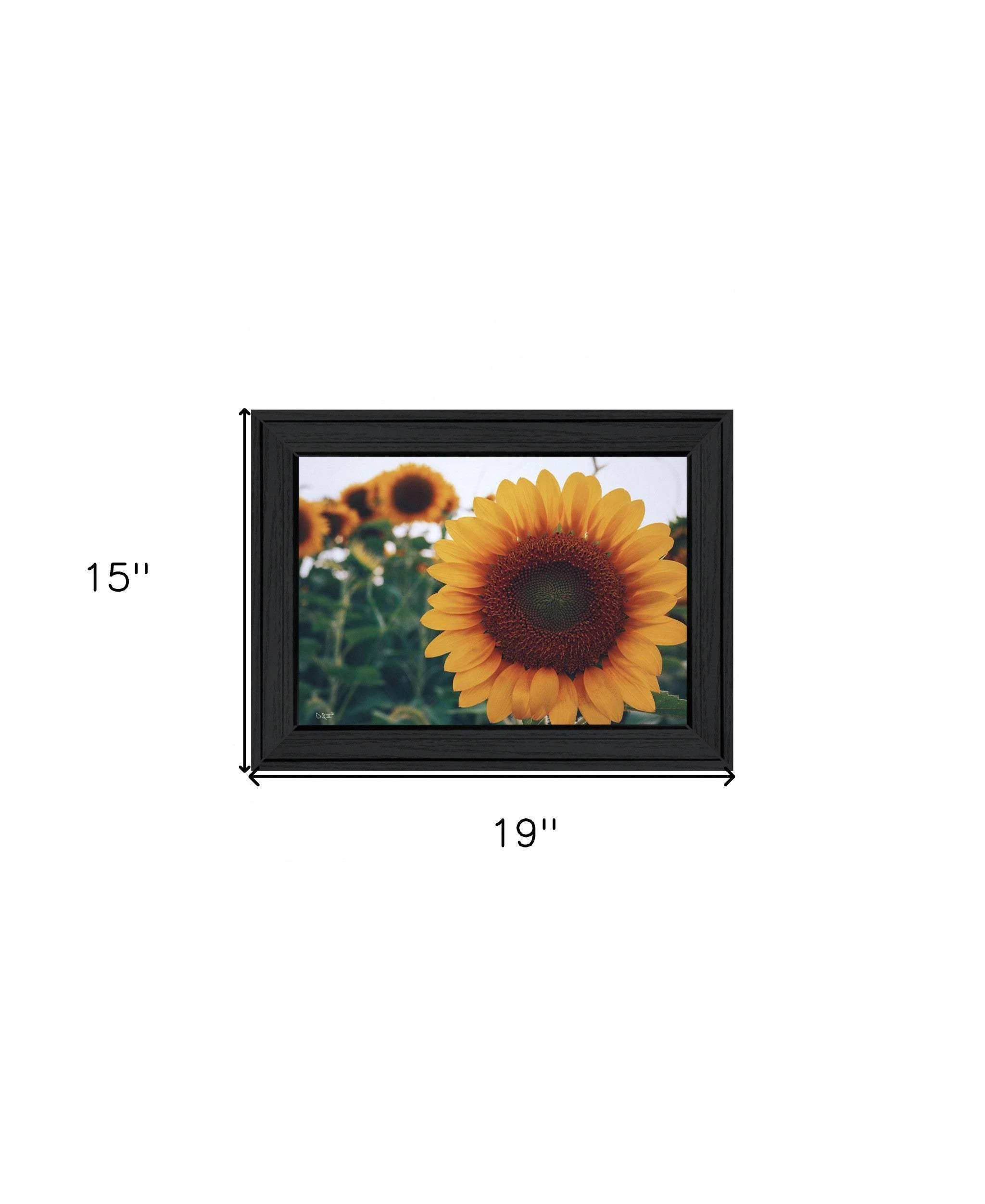 Midwest Livin II 3 Black Framed Print Wall Art - Image 6