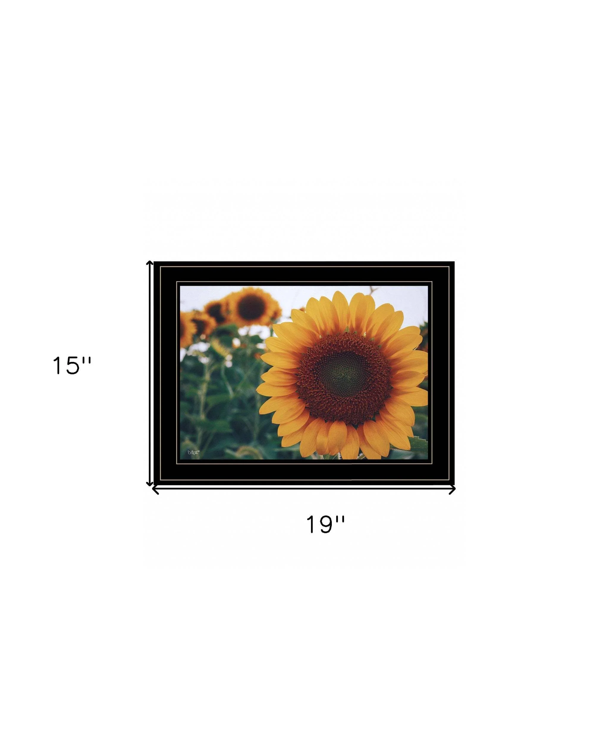 Midwest Livin II 4 Black Framed Print Wall Art - Image 6