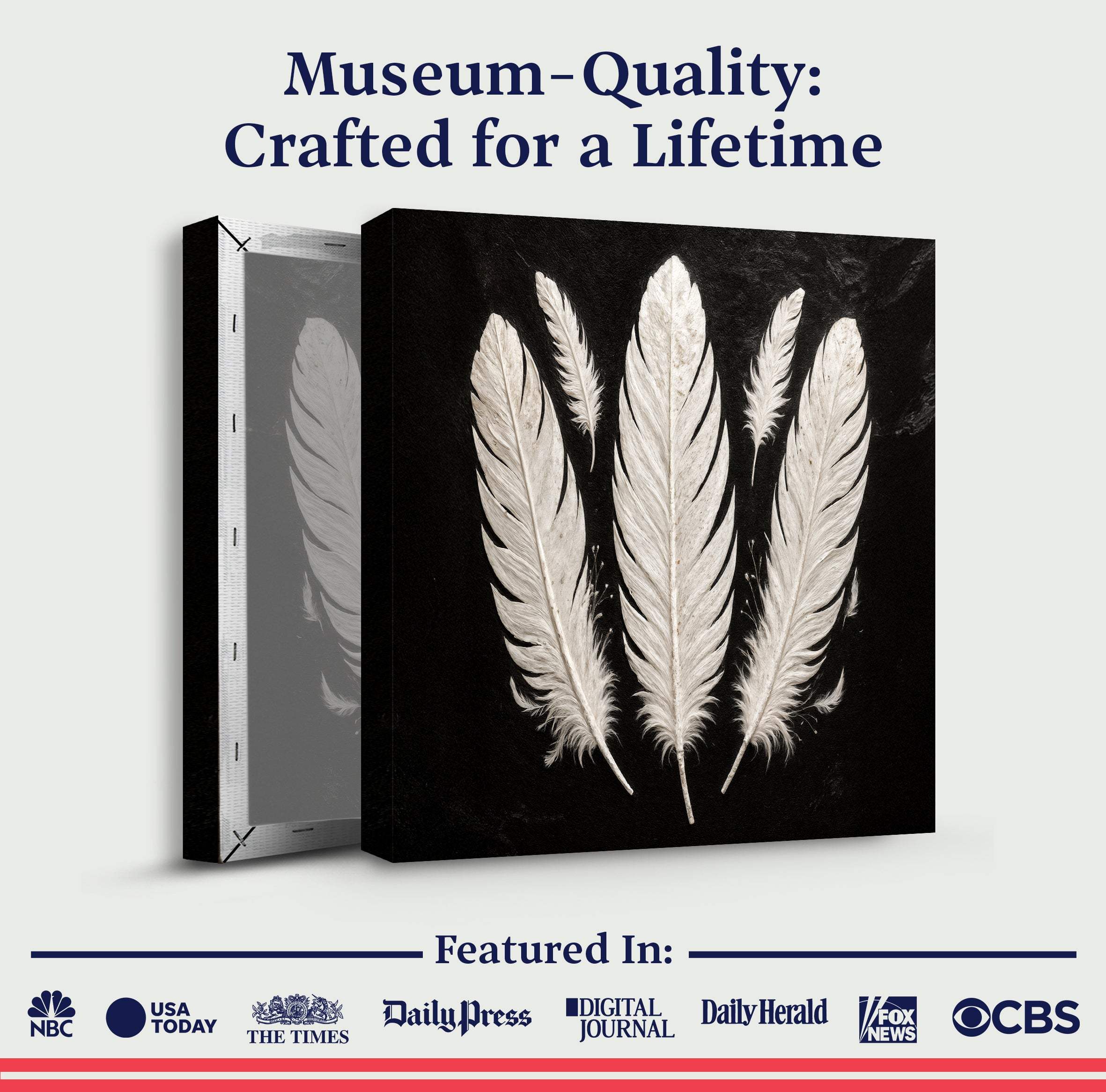Minimalist Monochrome Feather Wall Art - Image 6