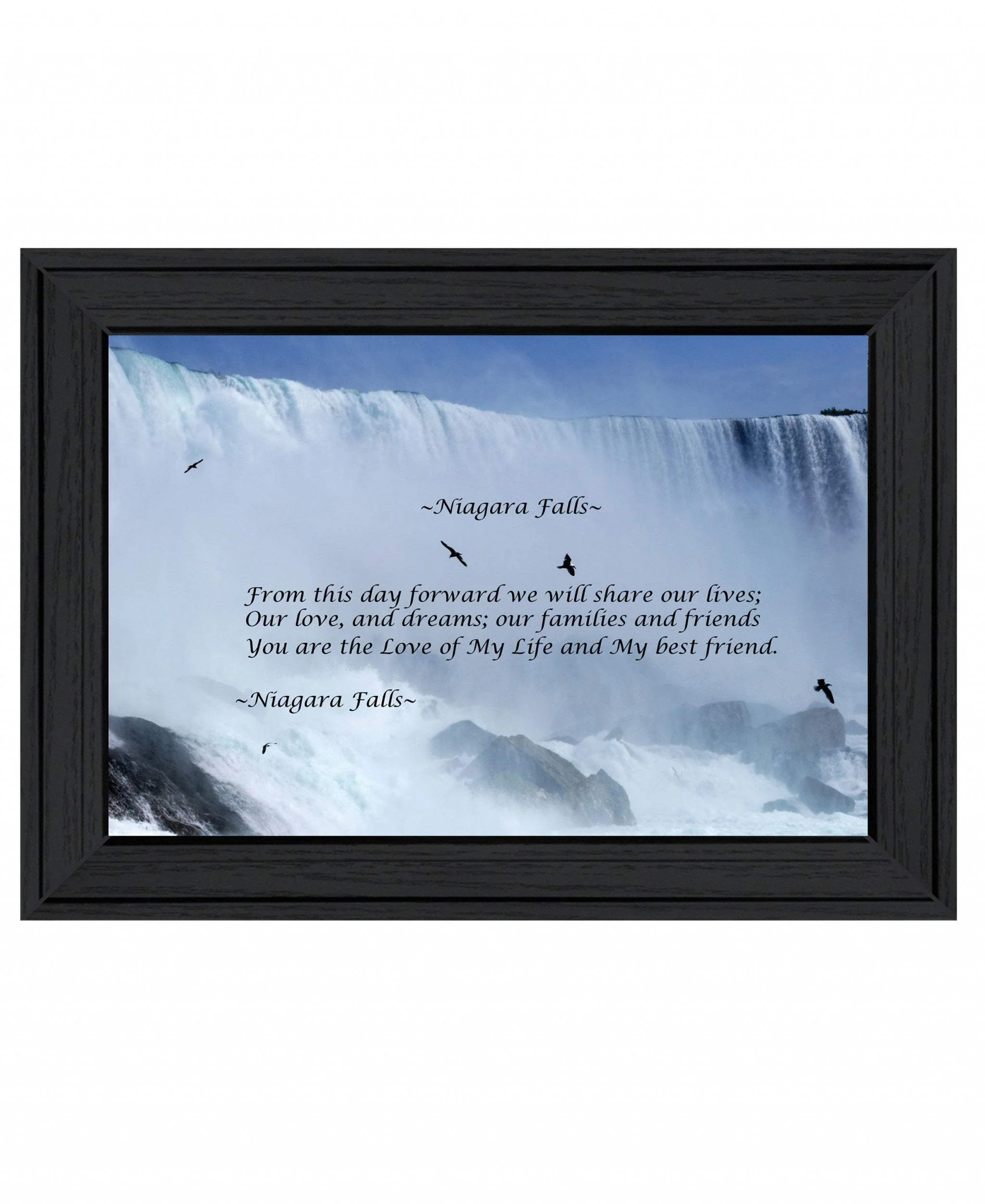 Niagara Falls Black Framed Print Wall Art - Image 2