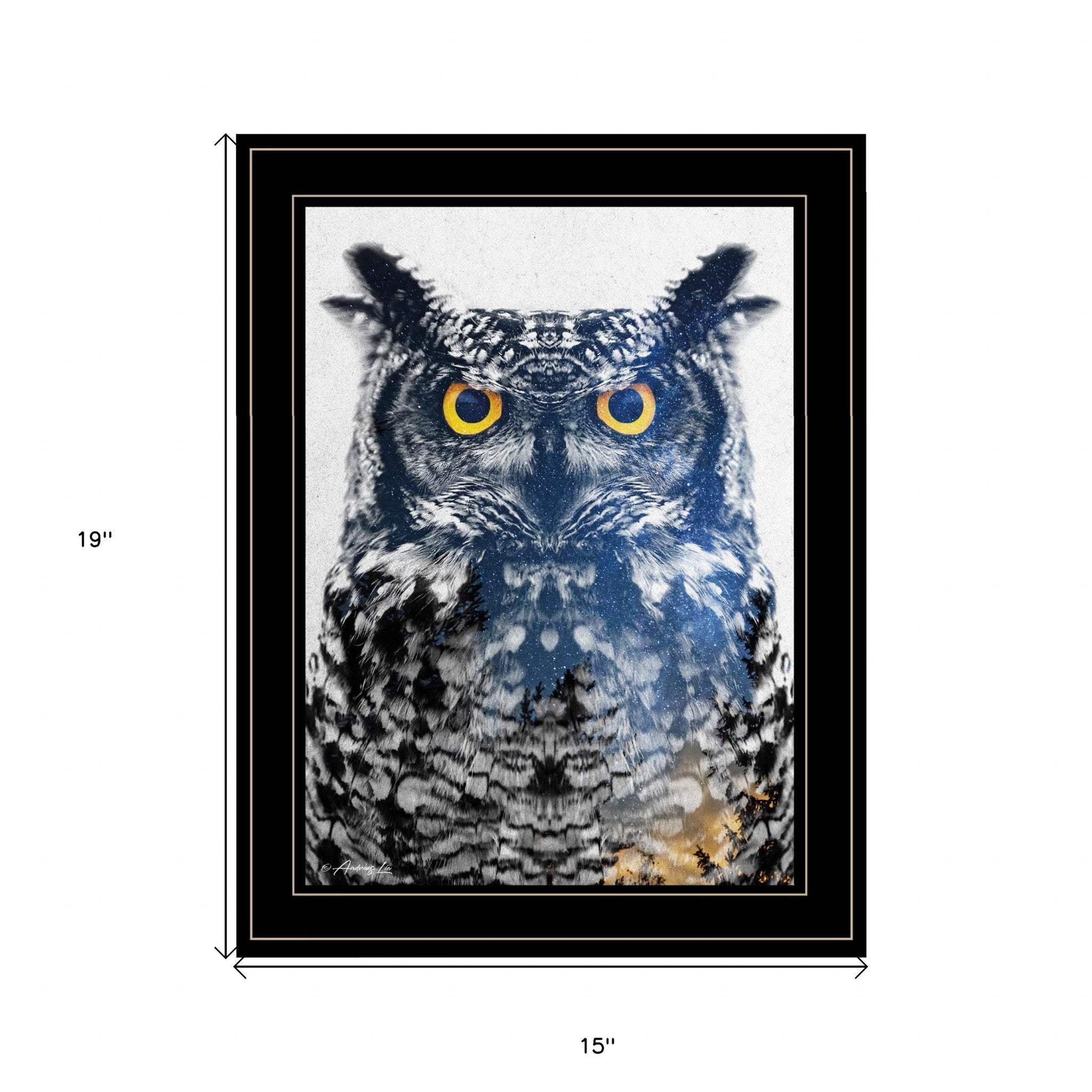 Night Owl 3 Black Framed Print Wall Art - Image 5