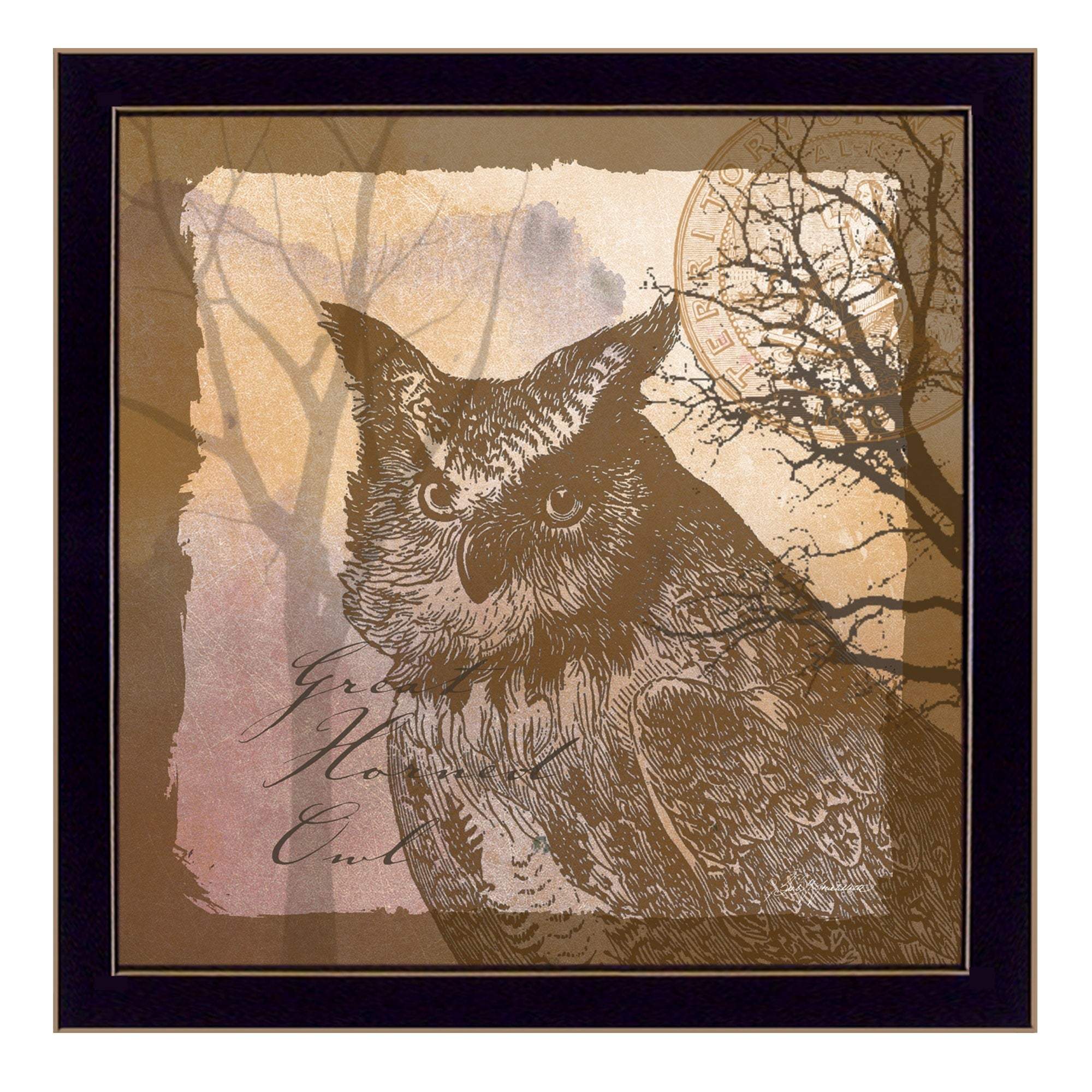 Owl 2 Black Framed Print Wall Art - Image 2