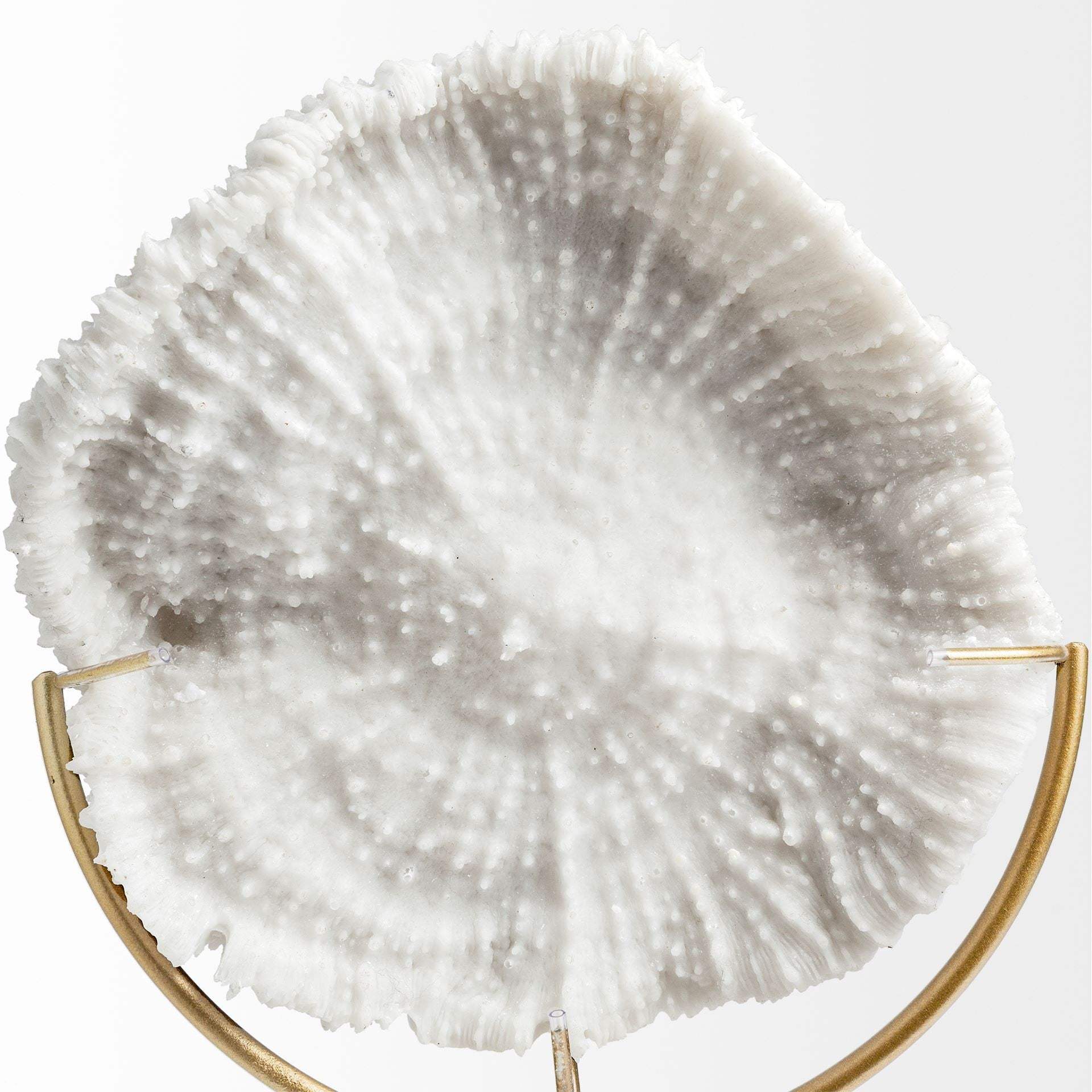 Petite White And Gold Coastal Sculpture - Image 3