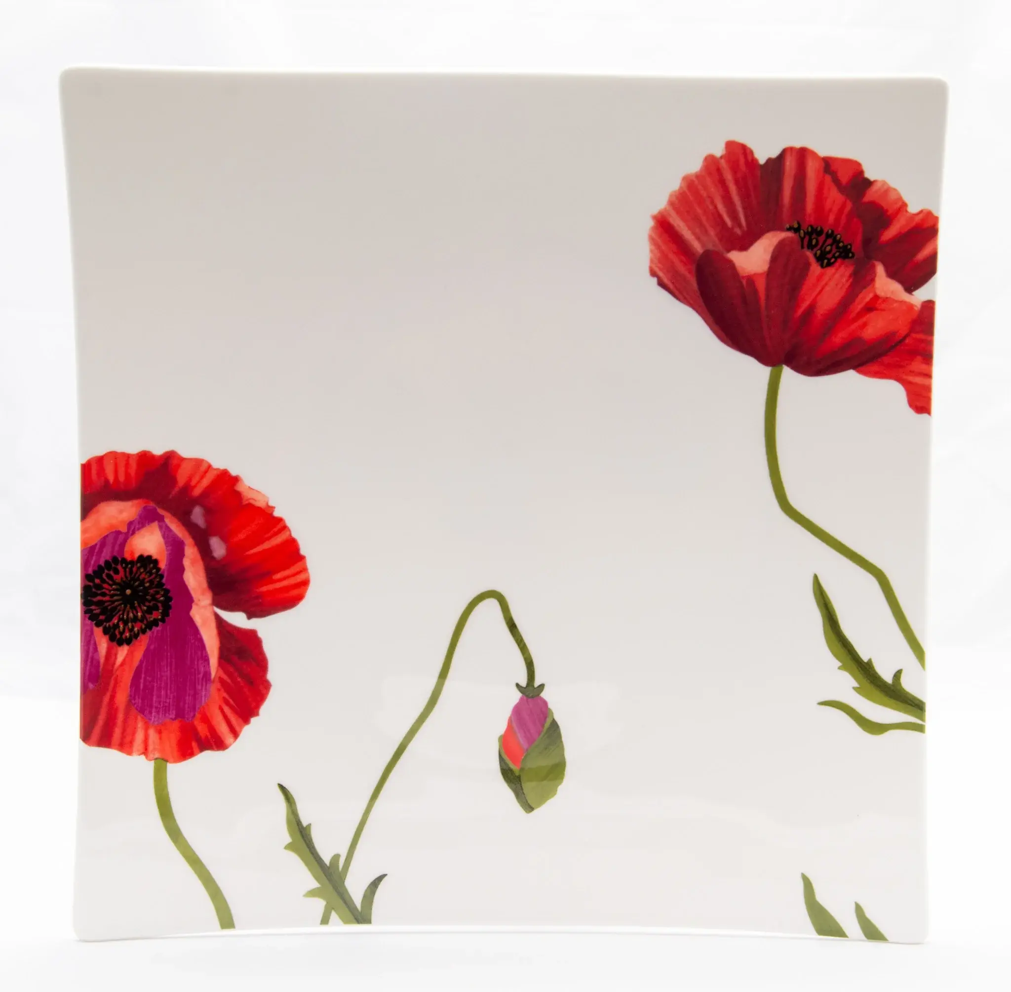 Red and White Six Piece Square Floral Bone China Service For Six Dinner Plate Set - Image 3