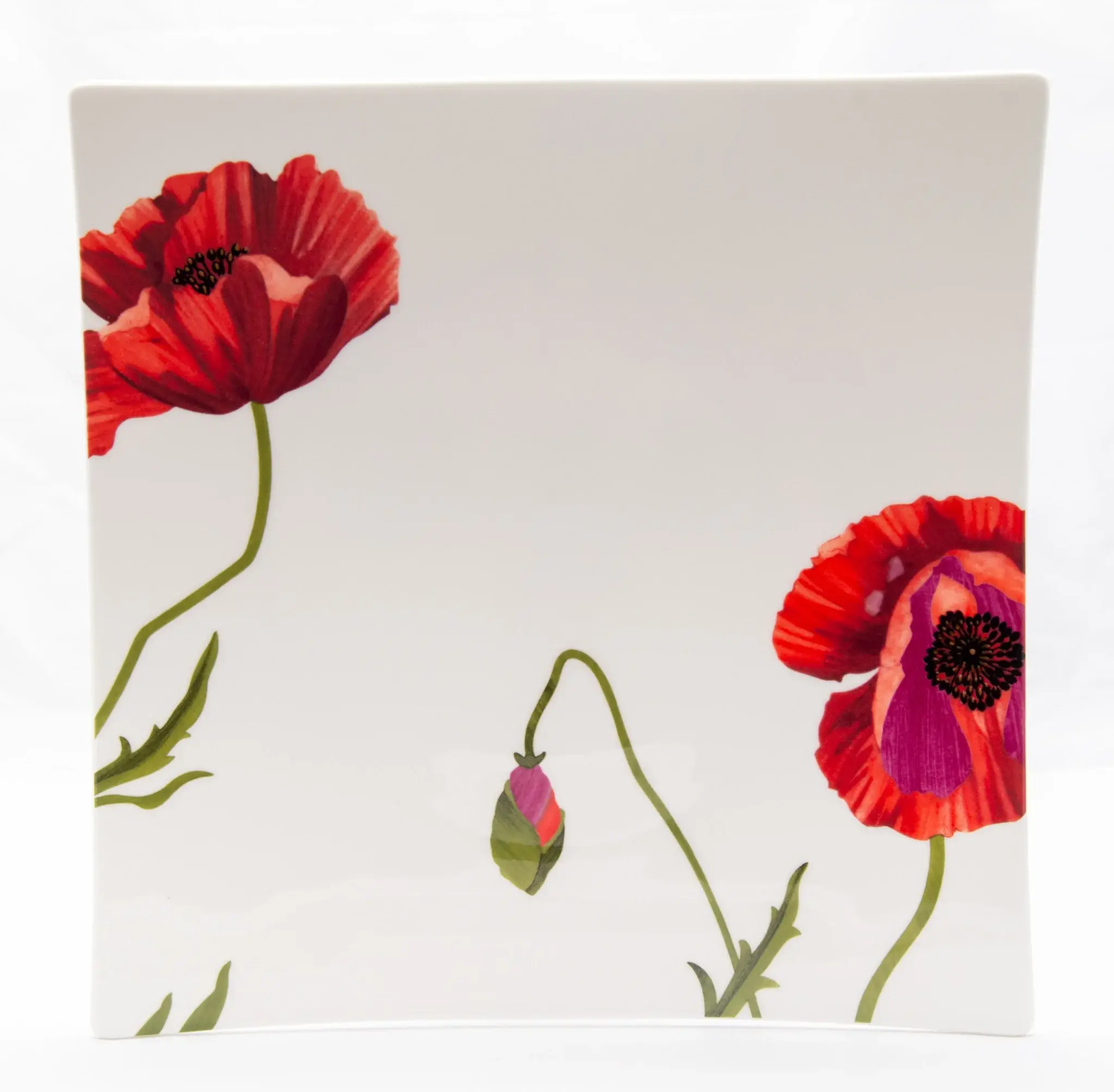 Red and White Six Piece Square Floral Bone China Service For Six Dinner Plate Set - Image 4