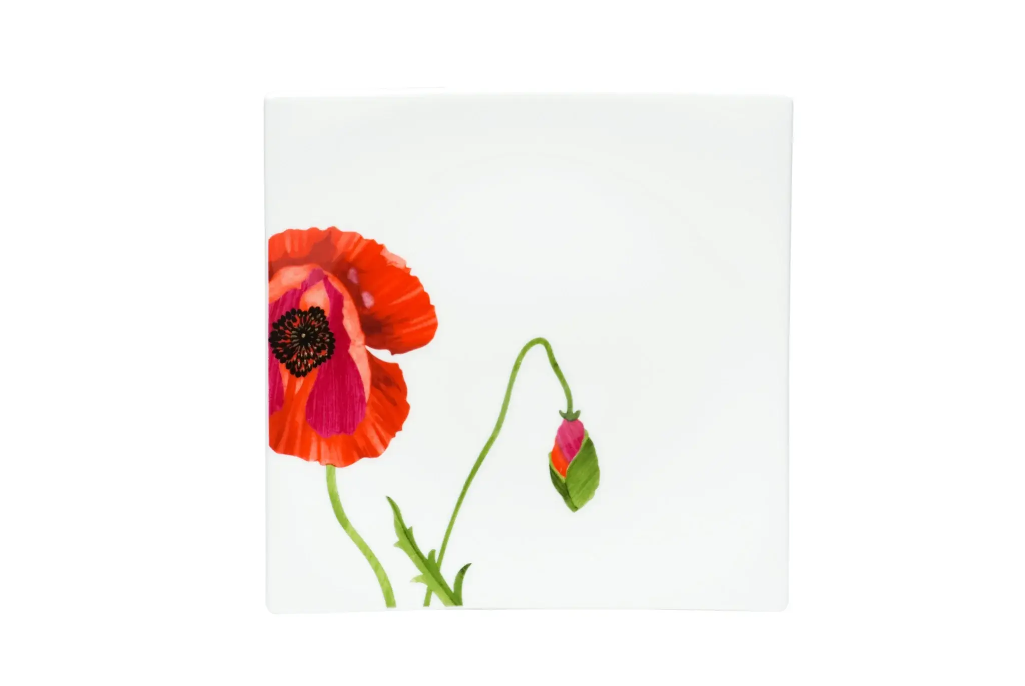 Red and White Six Piece Square Floral Bone China Service For Six Salad Plate Set - Image 3