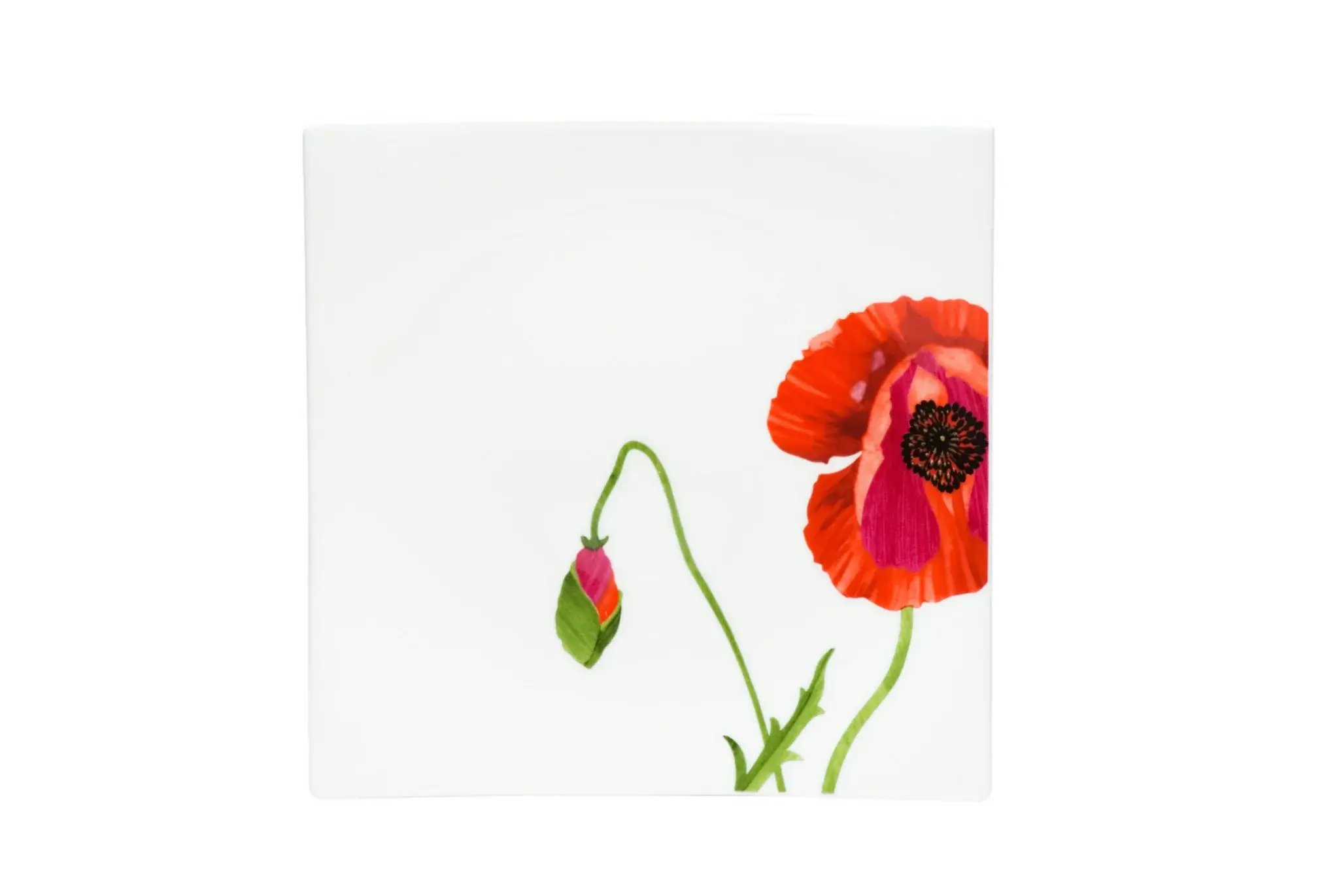 Red and White Six Piece Square Floral Bone China Service For Six Salad Plate Set - Image 4
