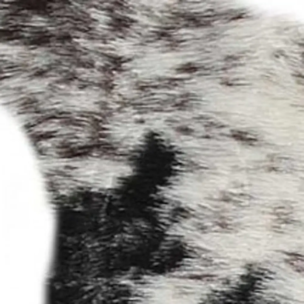 S&P Black White Animal Print Area Rug - Image 4