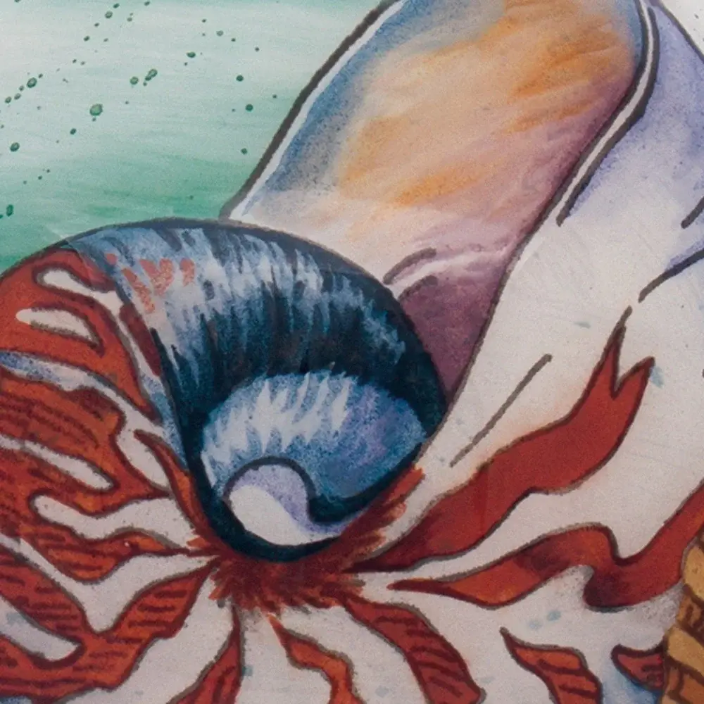 Sea Shell Hand Painted Mouth Blown Glass Ornament - Image 4