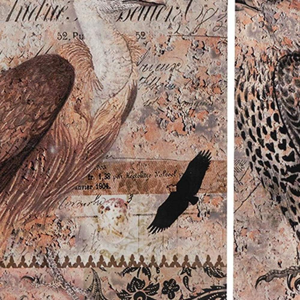 Set of 2 Antique Post Card Birds Wall Art - Image 3