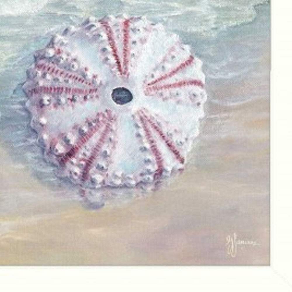 Set Of Three Shells I White Framed Print Bathroom Wall Art - Image 2