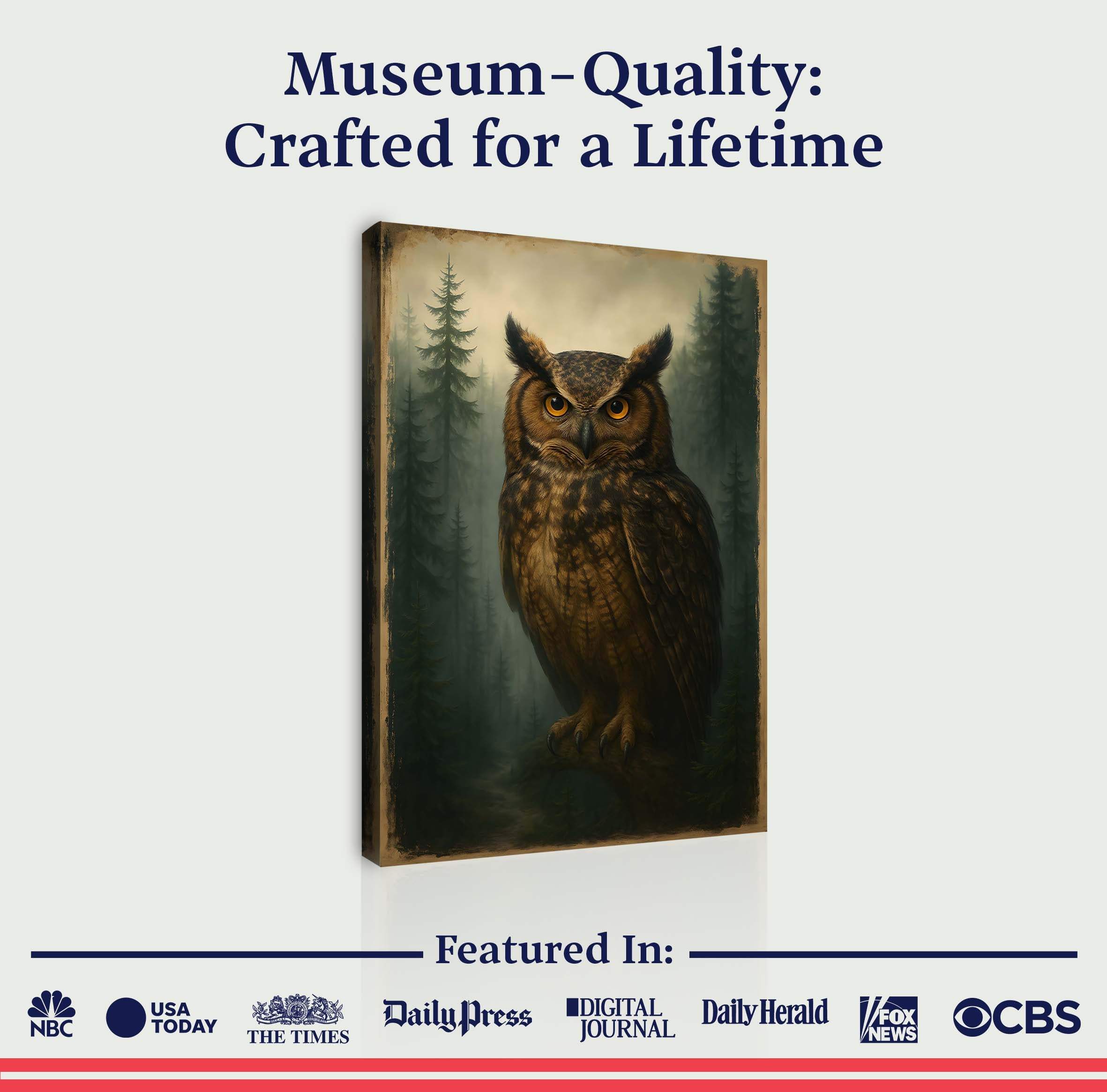 Watcher Of The Woods Owl Wall Art - Image 6